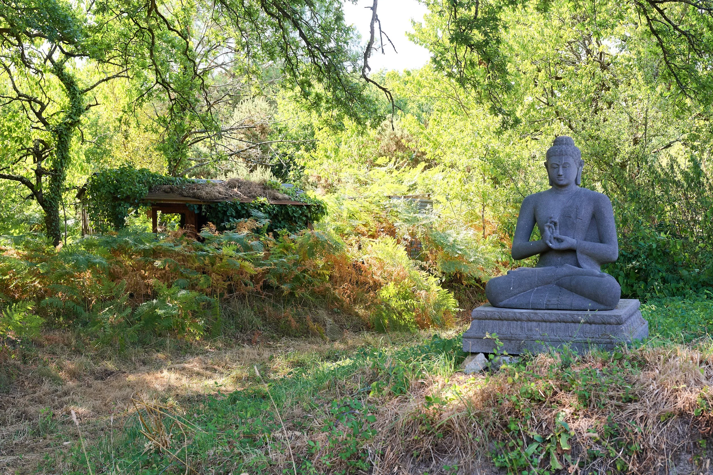 Gray stone Buddha statue in a lush green forest, surrounded by trees and foliage.