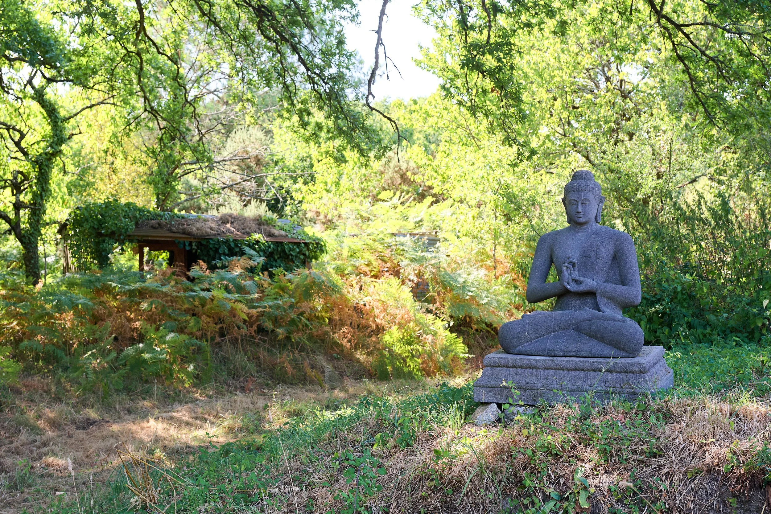 A stone Buddha statue sitting in a lotus position in a lush green garden with trees and shrubs, and a small wooden structure in the background.