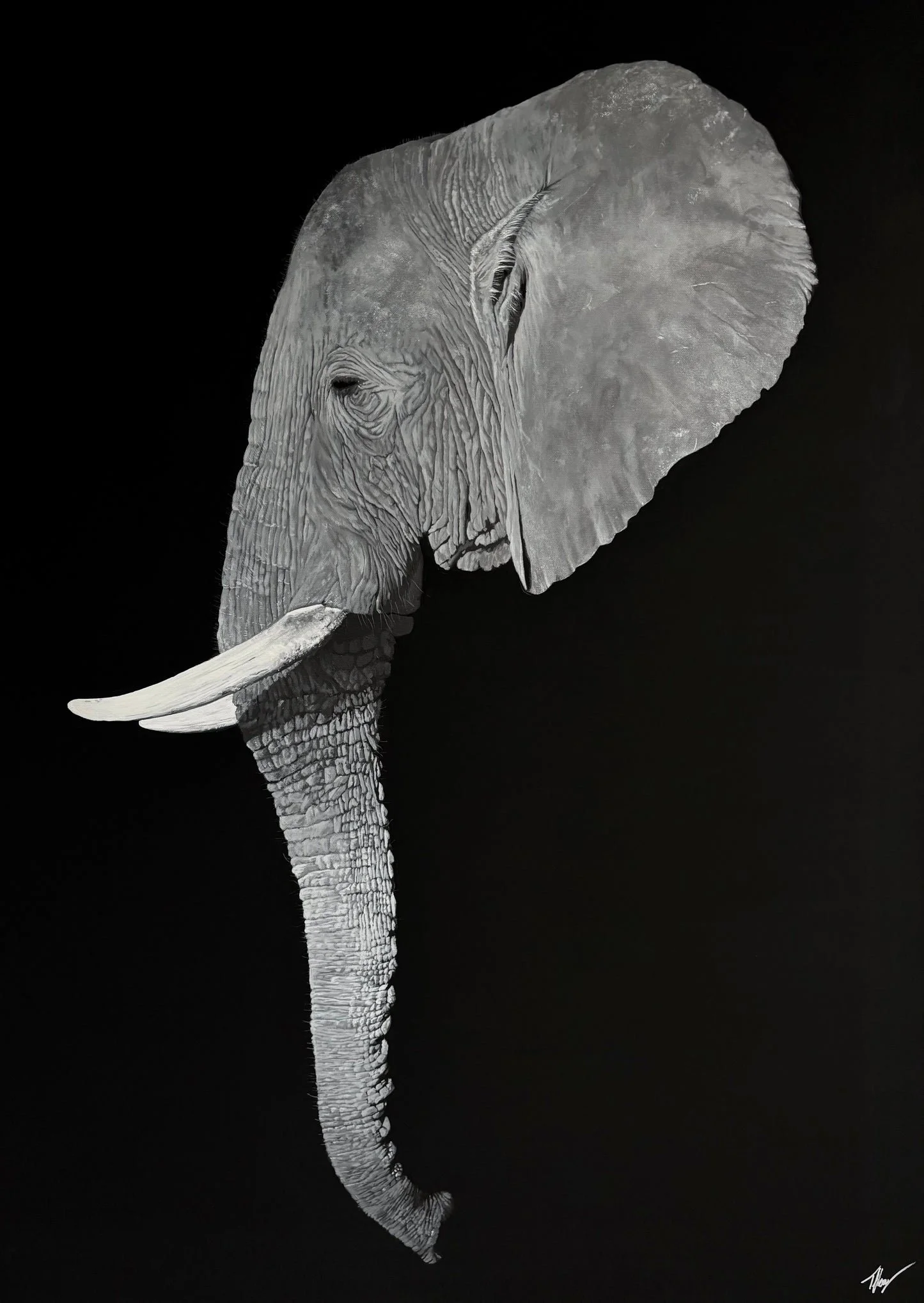 ‘Matriarch’