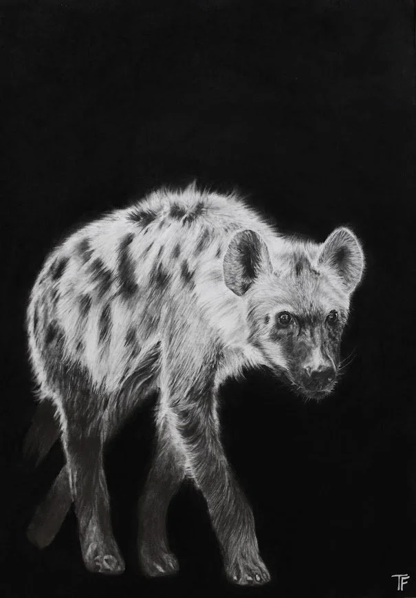 hyena.JPG