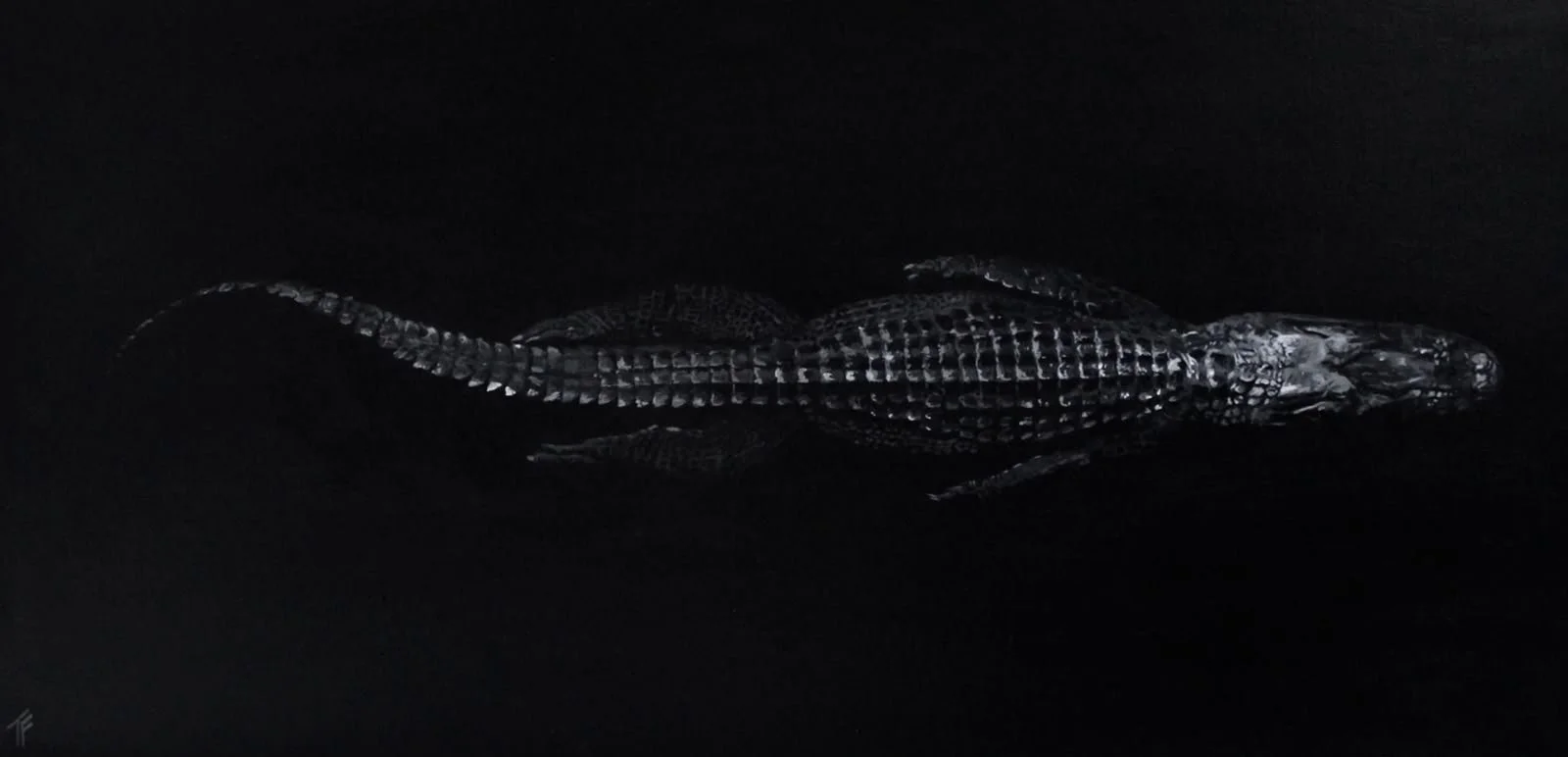 Original: 'Subaquatic Serenity'
