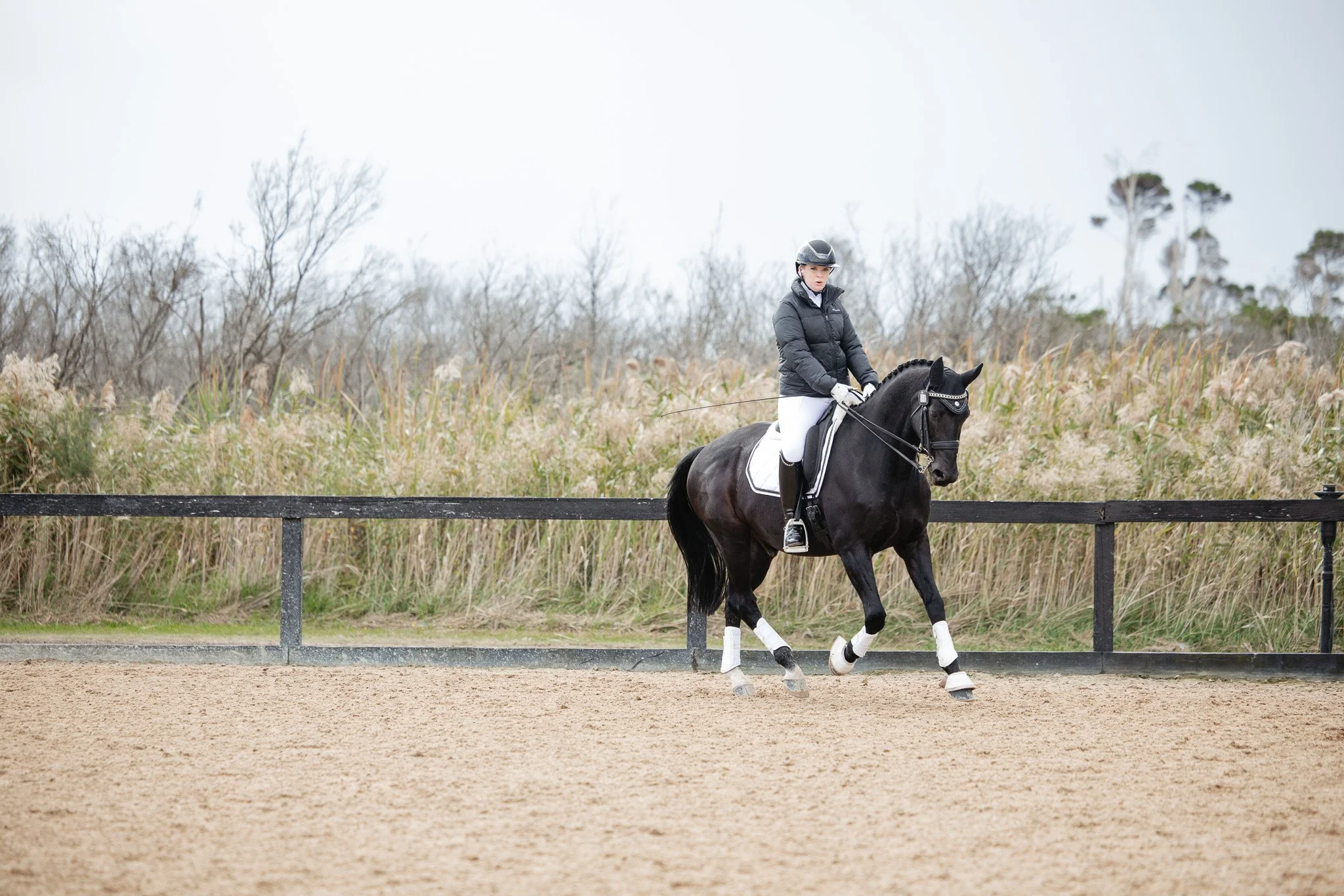 Person in riding gear riding a dark horse on an outdoor riding arena, with bare trees and cloudy sky in the background.
