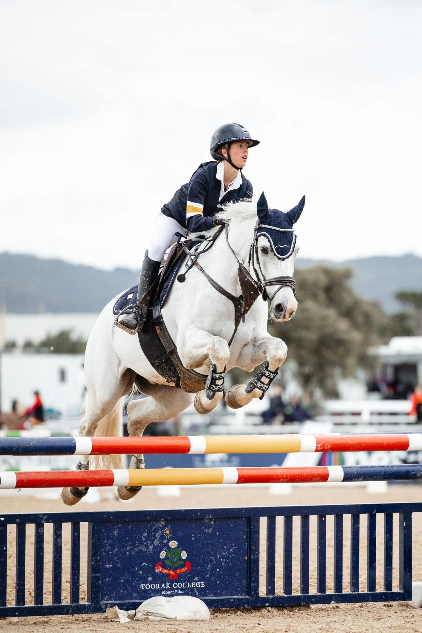 A female equestrian in riding gear and a helmet jumping a white horse over a maneuvered obstacle at an equestrian event. The obstacle is decorated with the Toorak College logo, featuring a flower and motto, set against a sandy arena with blurred audi