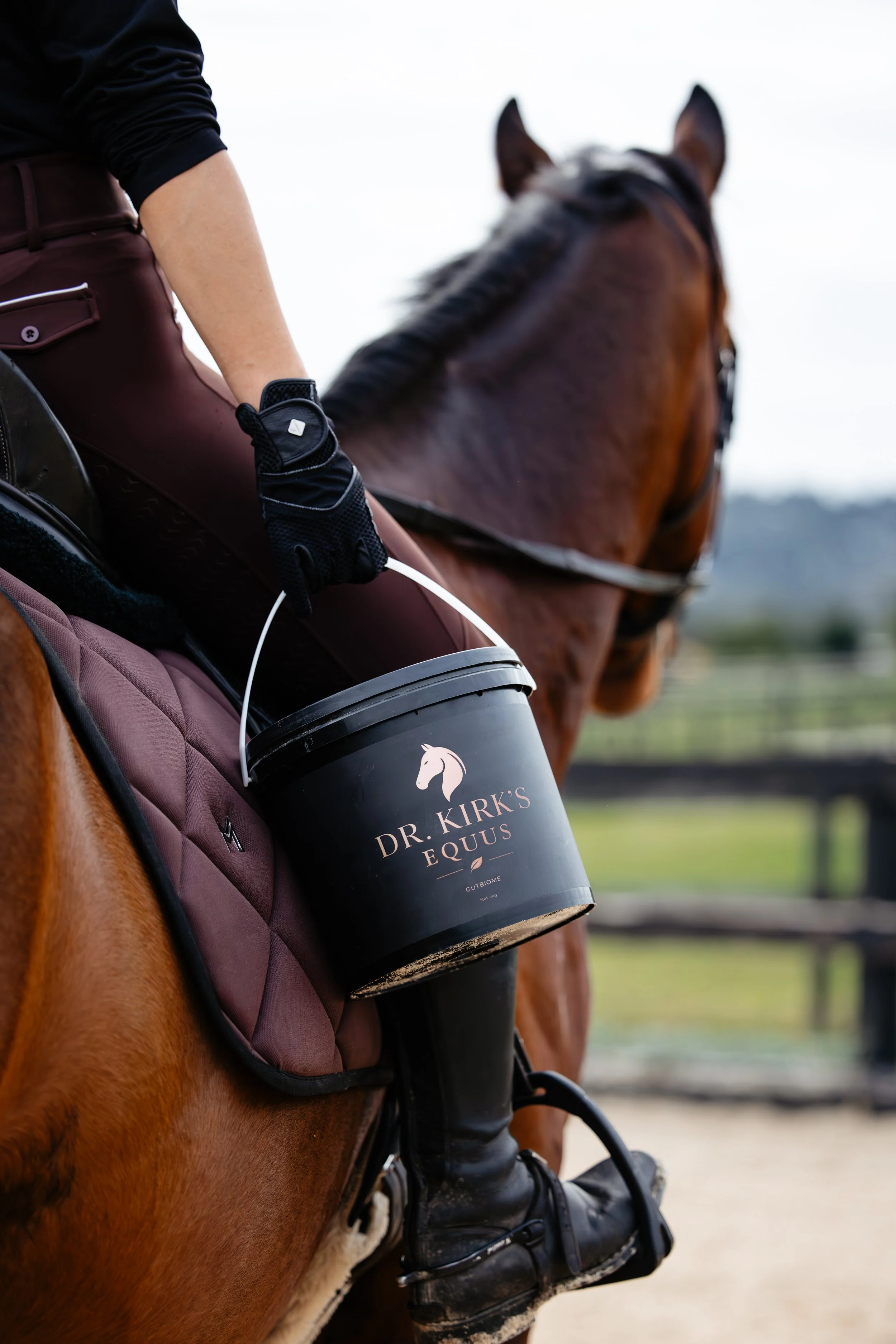 Close-up of a person riding a horse, holding a black bucket labeled 'Dr. Kirk's Equus' attached to the saddle, in an outdoor riding area.