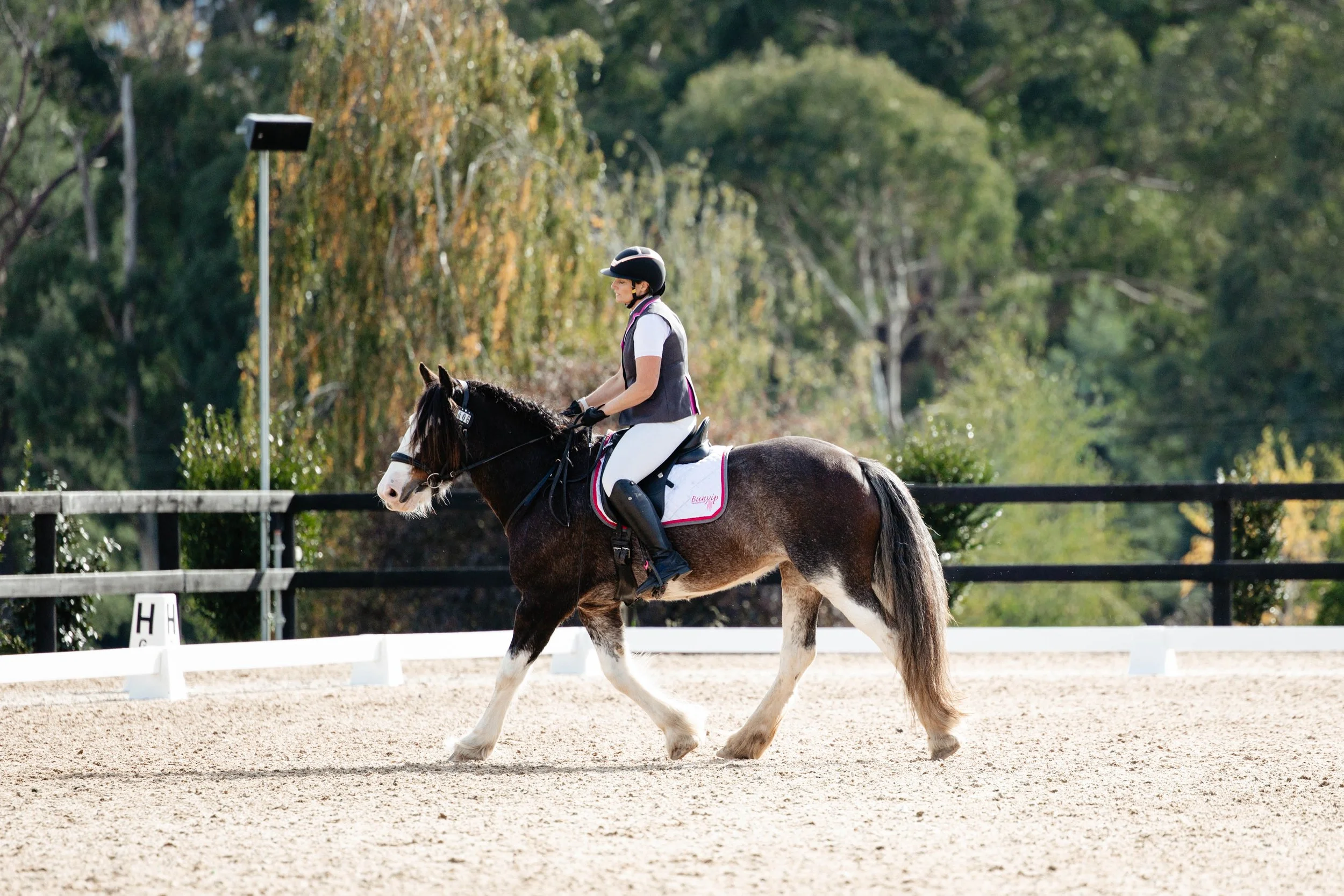 A rider in a helmet and riding attire on a brown and white pinto horse in an outdoor equestrian arena with a sandy surface, white fencing, and a background of green trees.