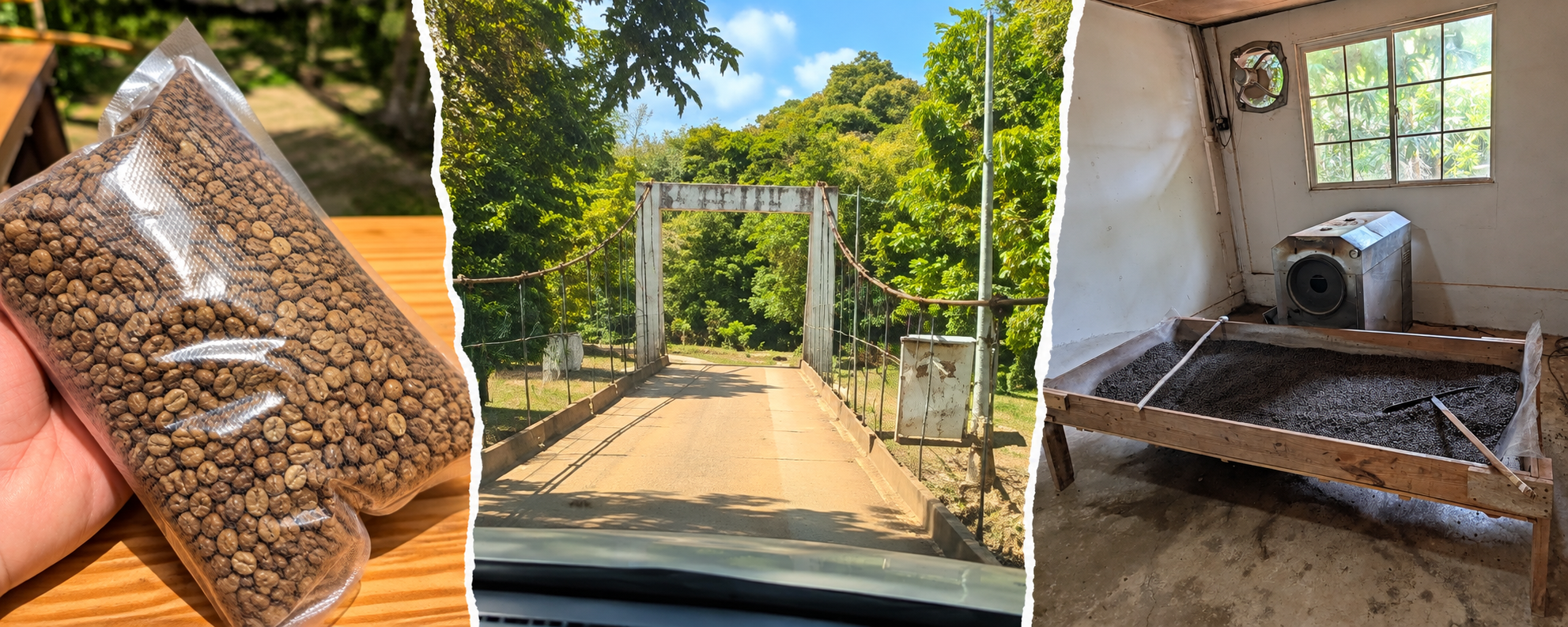 Green unroasted coffee beans purchased from a local roaster in Panama, the rural bridge leading toward Finca La Amistad, and Joel's small coffee-processing operation.