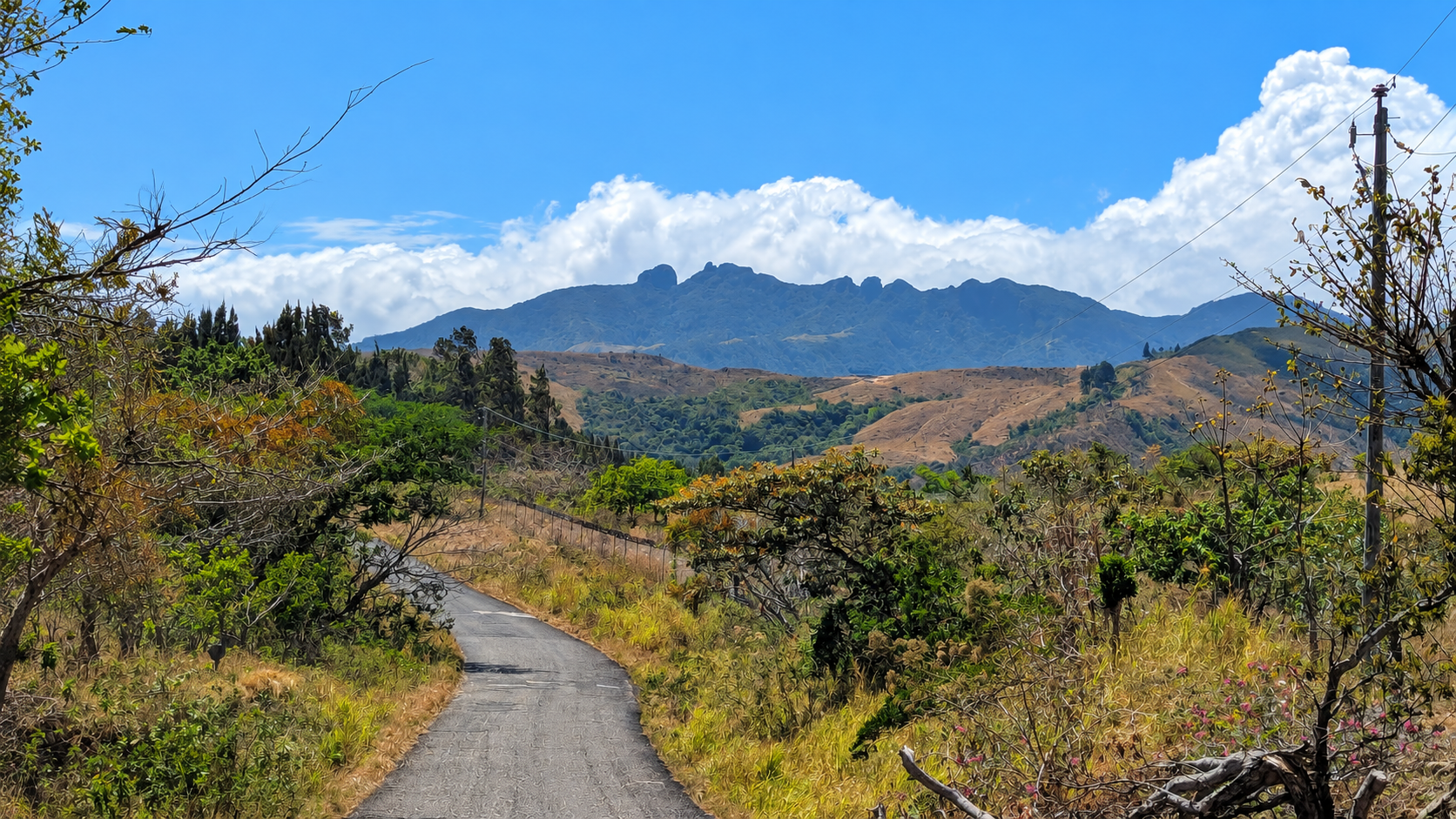 Narrow road winding through the dry-season hills of Panama beneath a bright blue sky.