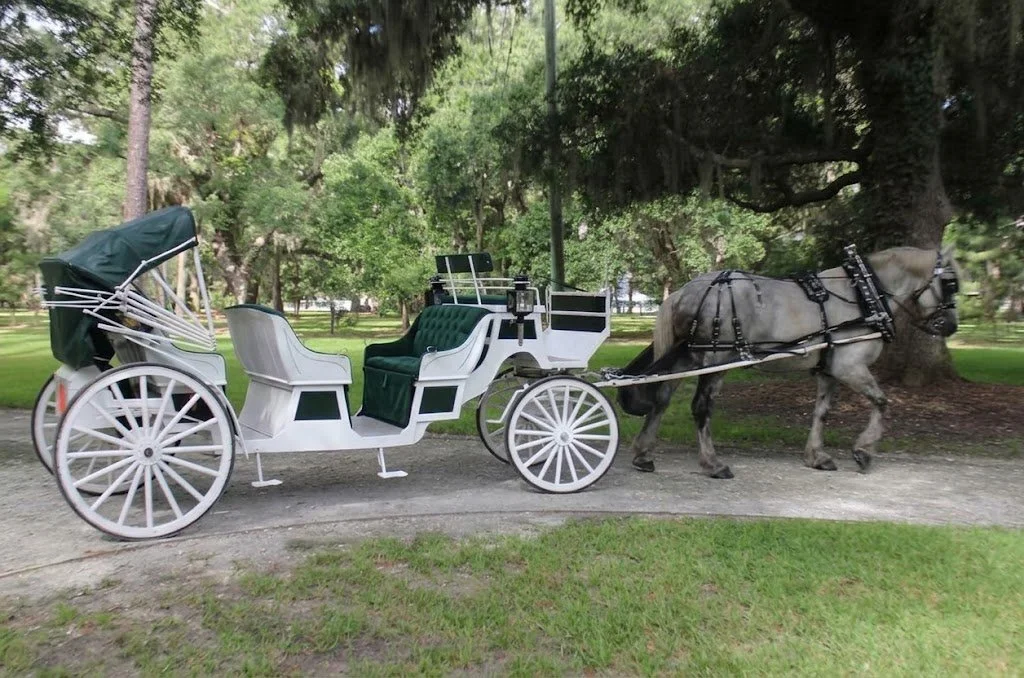 Horse-drawn white carriage with green upholstery traveling beneath moss-draped oak trees on Jekyll Island, Georgia.