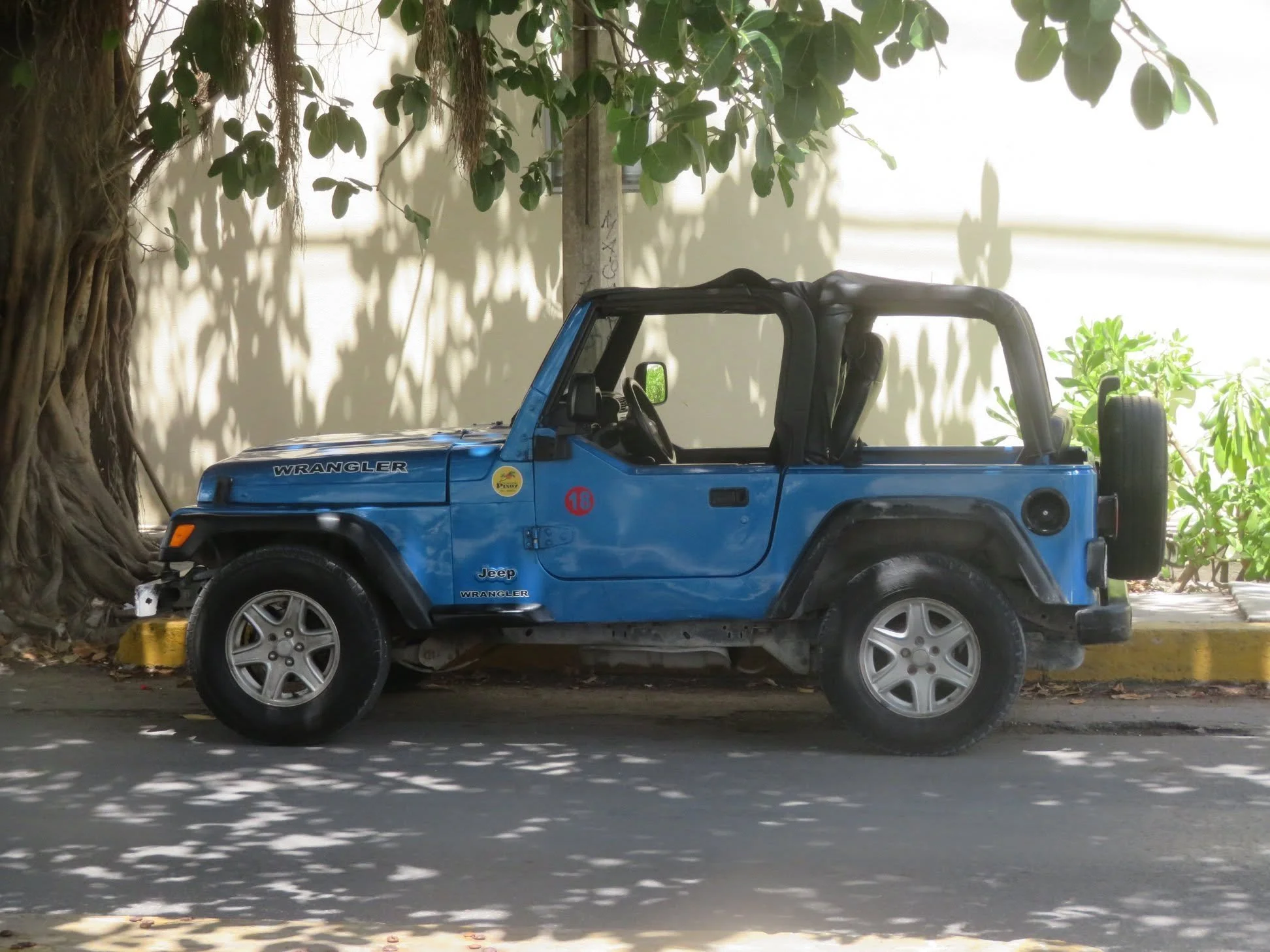Blue Jeep Wrangler rental parked beneath tropical trees in Cozumel, Mexico.
