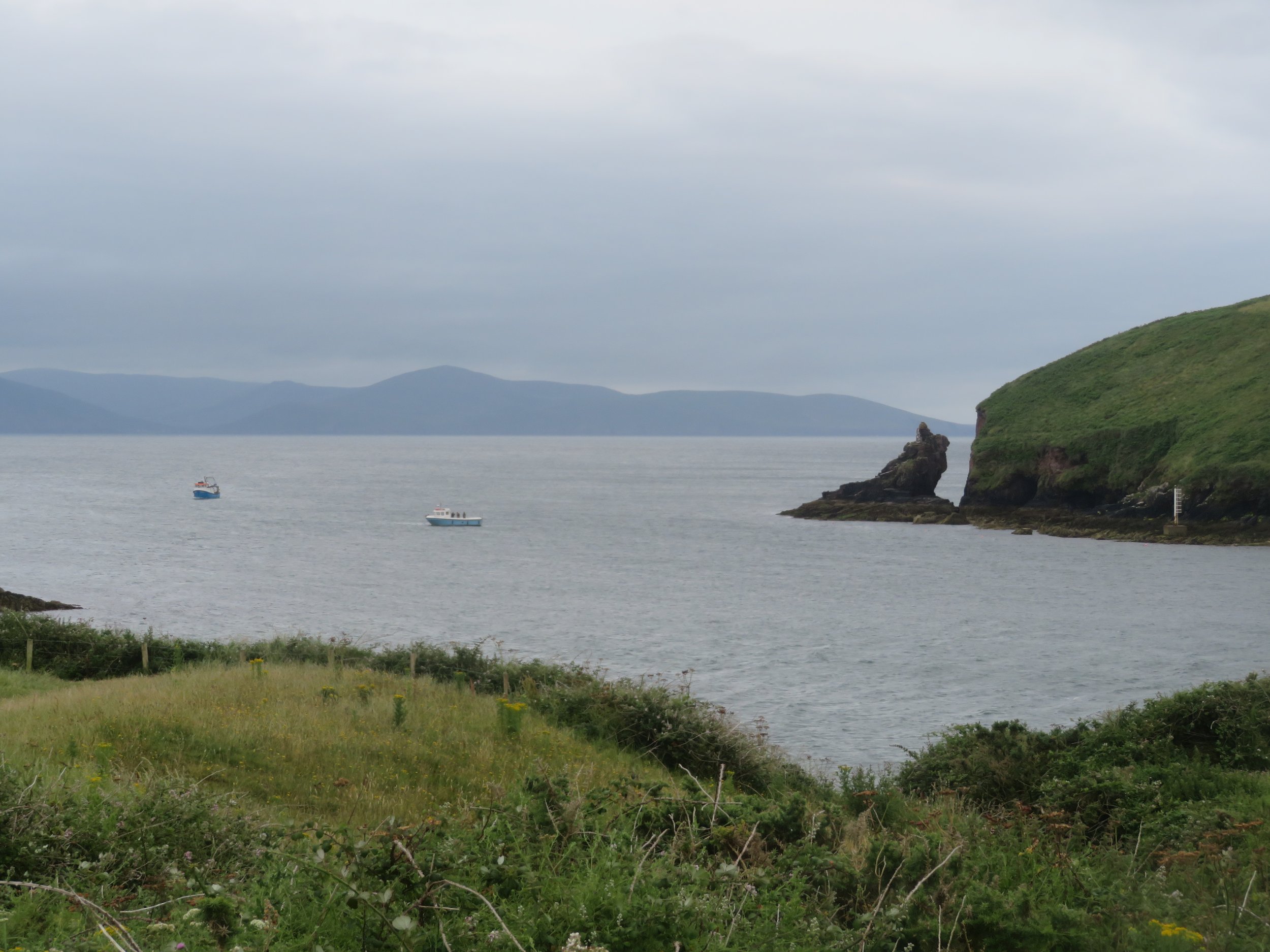 Coastal scenery and green countryside on the Dingle Peninsula in Ireland
