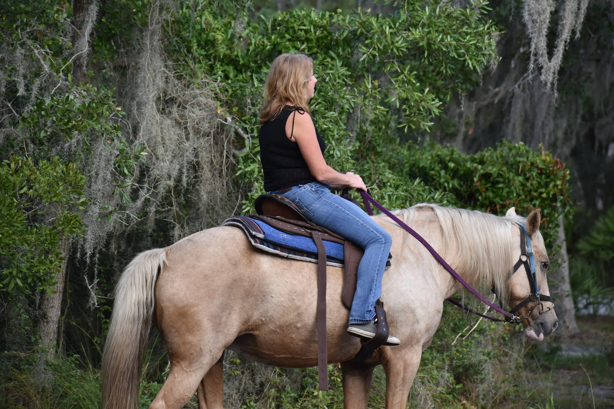 Gina riding a light-colored horse along a wooded trail on Jekyll Island, Georgia, during an anniversary getaway.