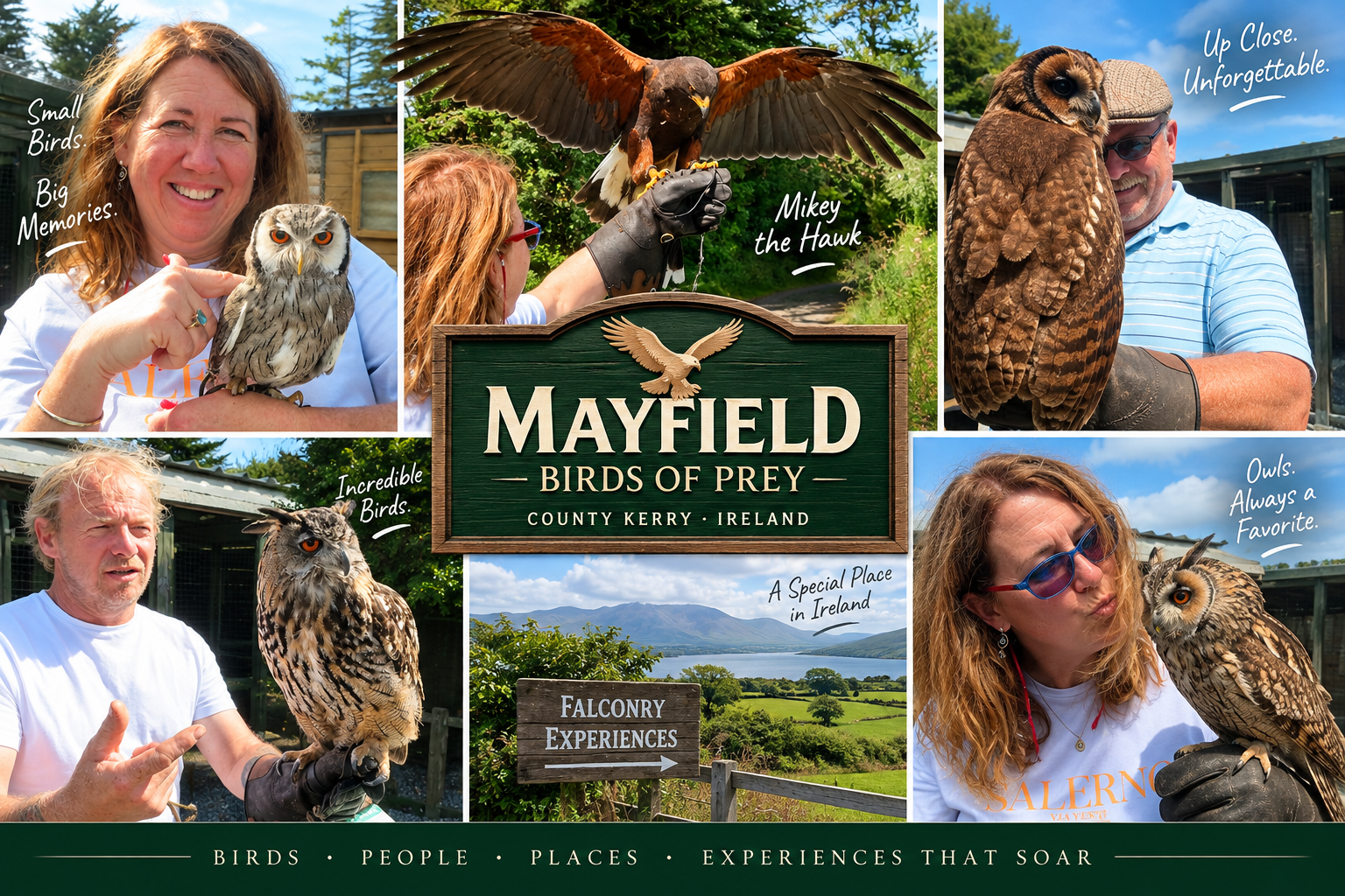 Harris’s hawk Mikey flies toward Gina’s falconry glove during a private experience at Mayfield Birds of Prey in County Kerry, Ireland.
