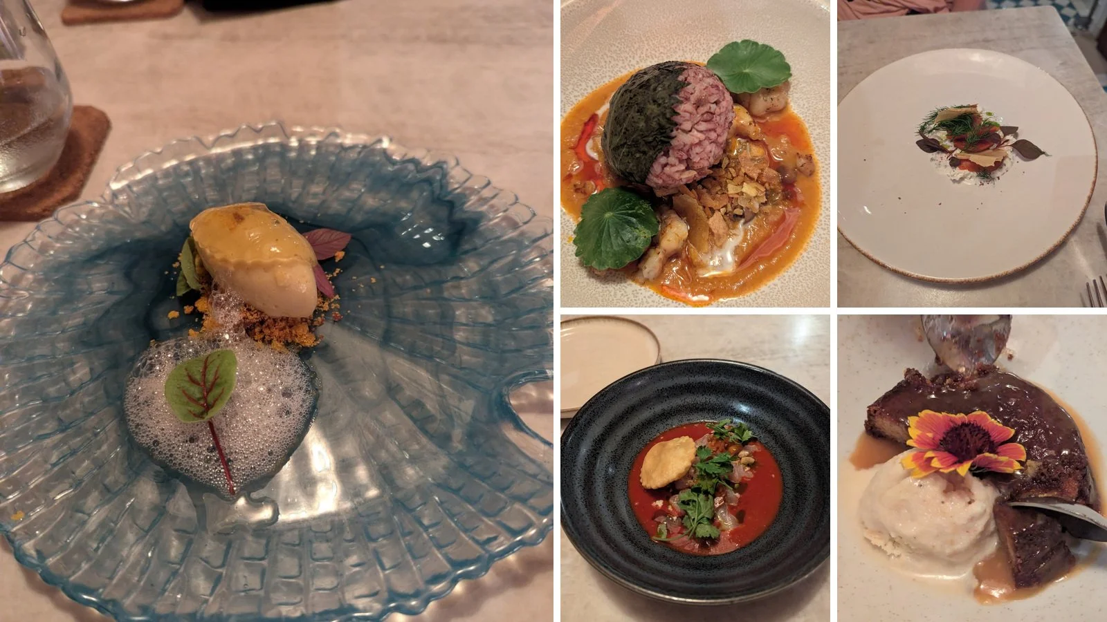 Several courses from Kaandela’s Chef’s Tasting Menu, showing the variety of dishes and presentations served throughout dinner.