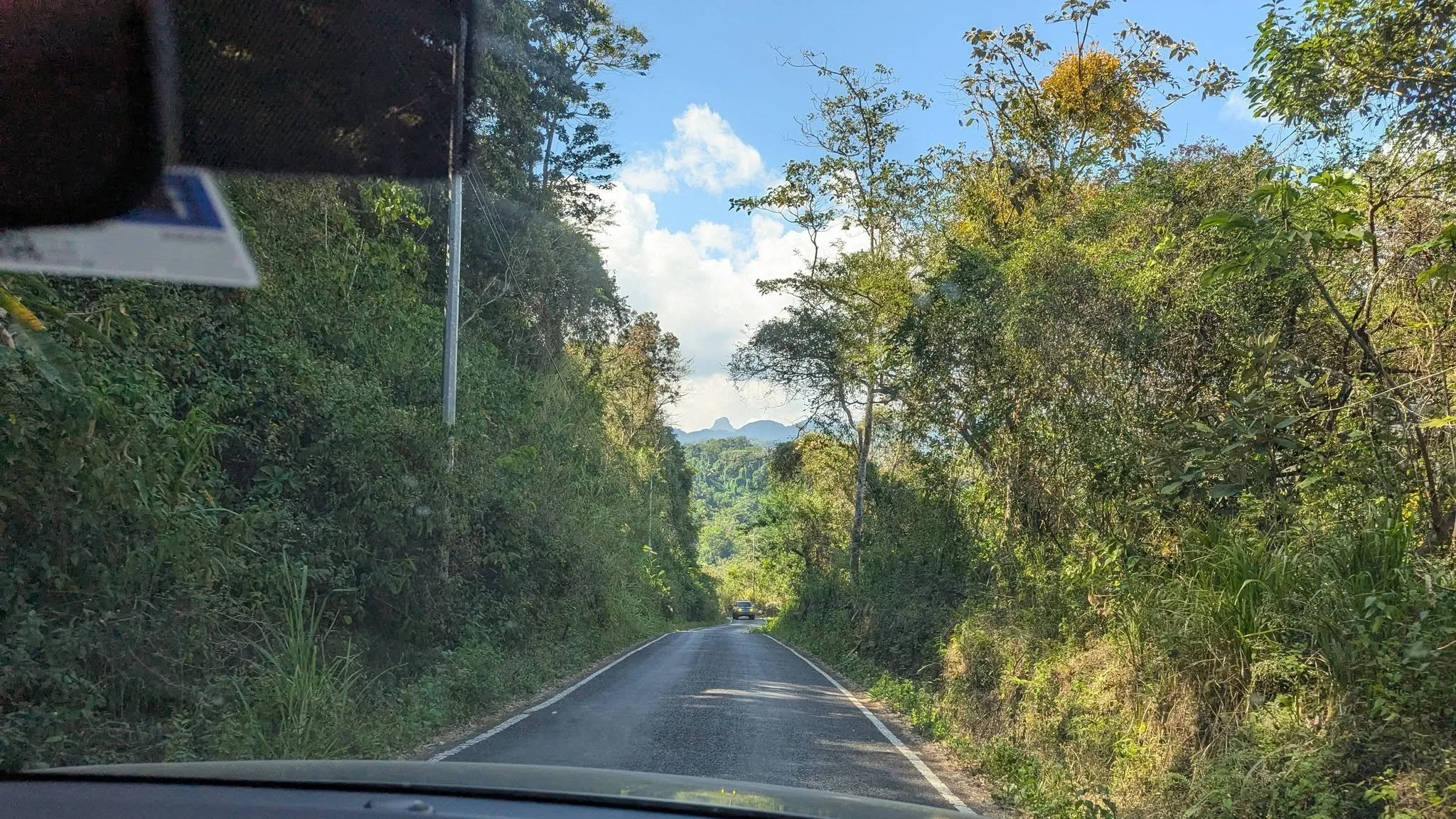 A narrow mountain road winding through dense tropical forest in Panama.
