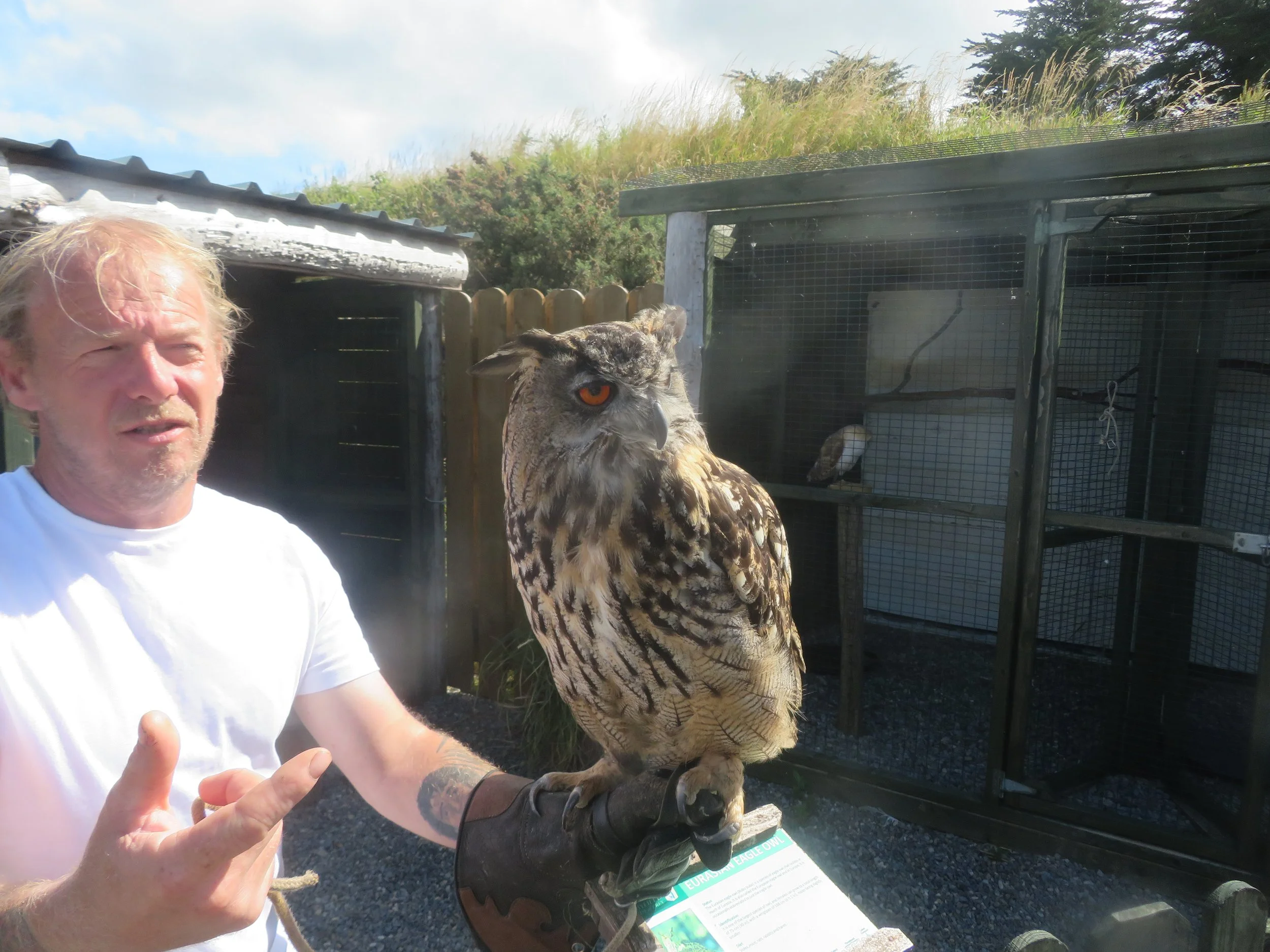 willie cochrane showing us an owl