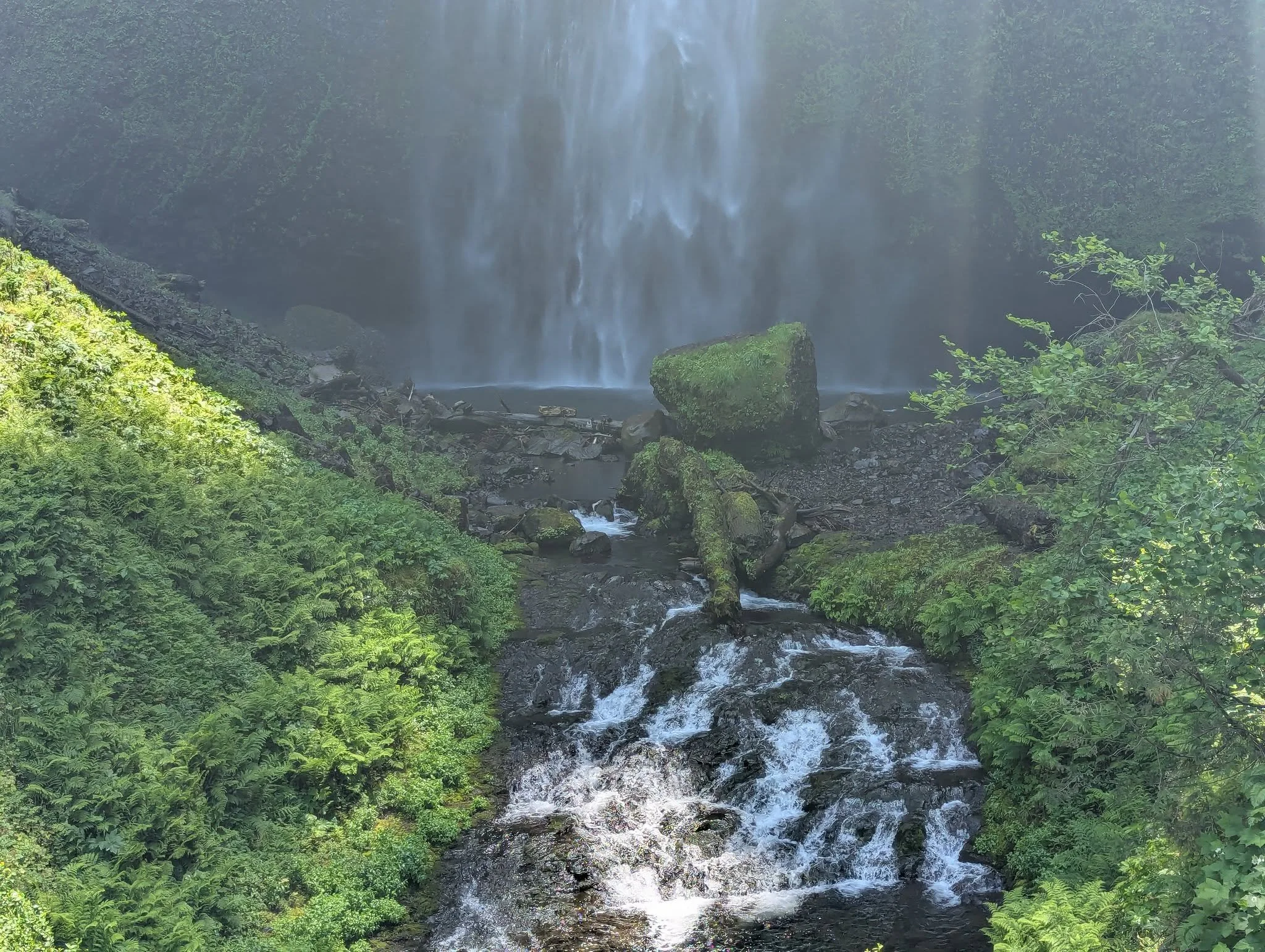 Multnomah Falls cascading behind Benson Bridge in Oregon's Columbia River Gorge, surrounded by green forest.