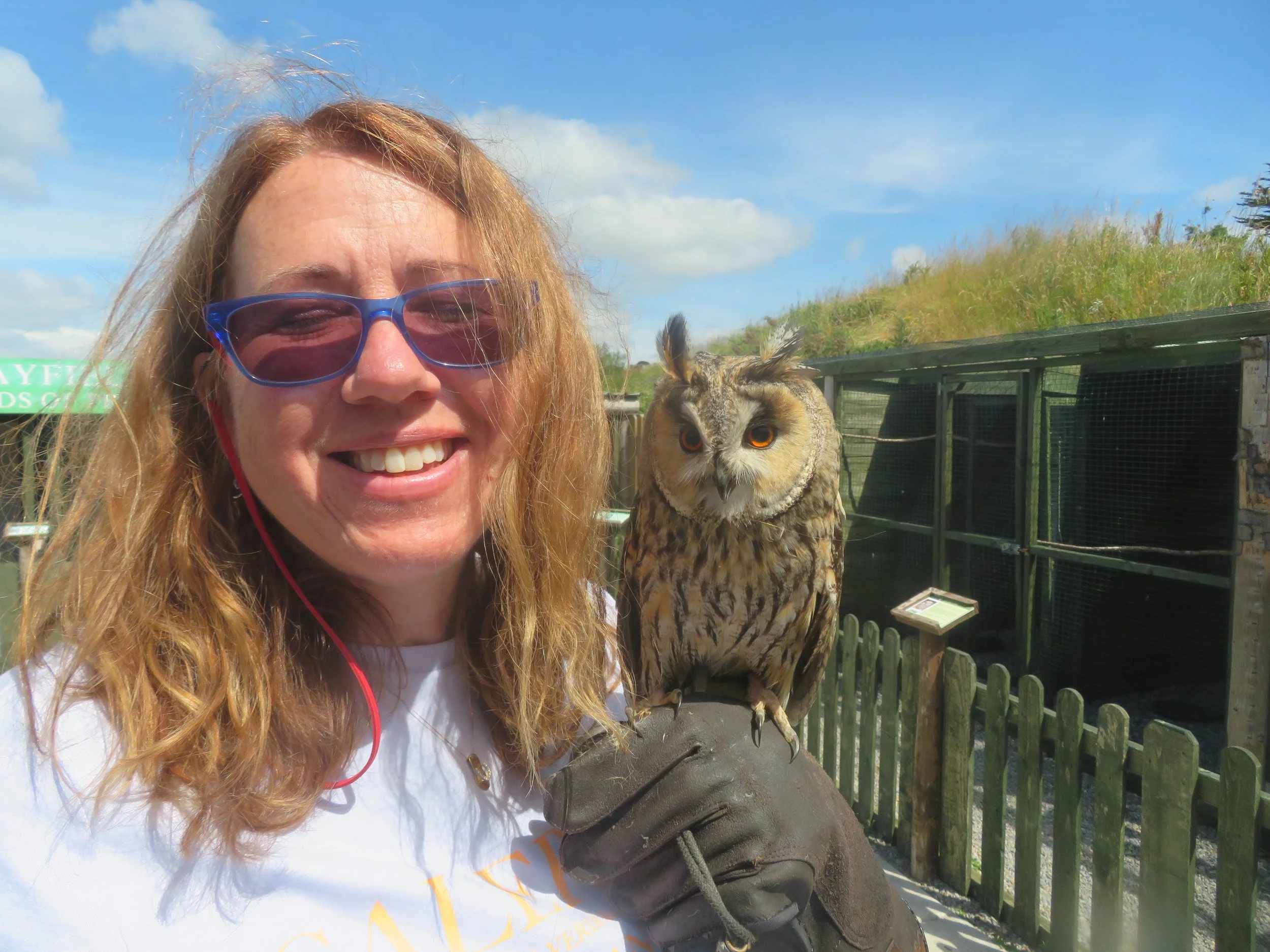 falconry experience in ireland. woman holding a baby owl
