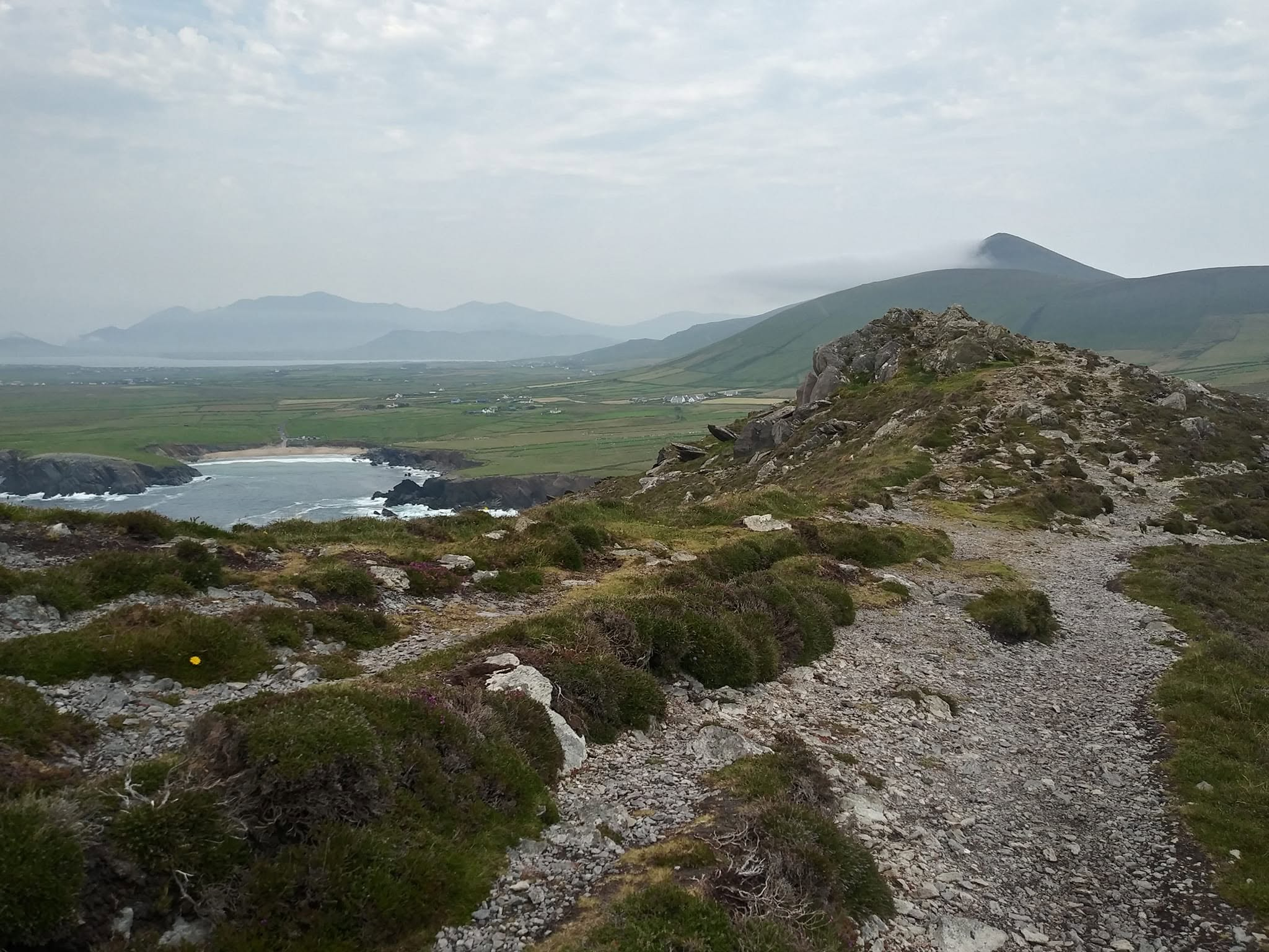 View toward Dingle and Dingle Harbour from the mountains near Conor Pass