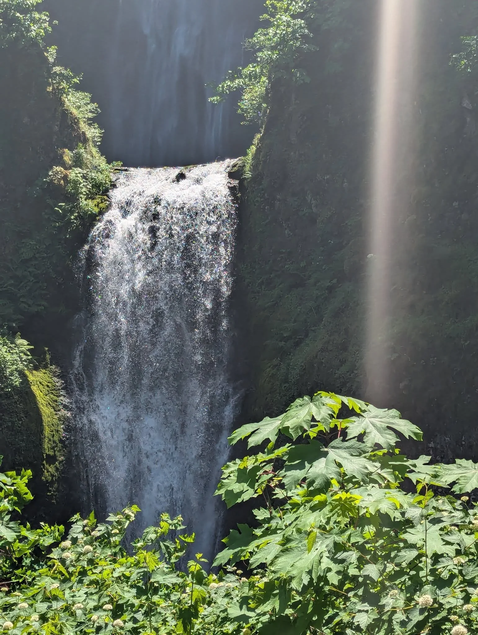 Benson Bridge spanning the gorge in front of Multnomah Falls, with water cascading beneath the bridge and sunlight illuminating the surrounding forest.