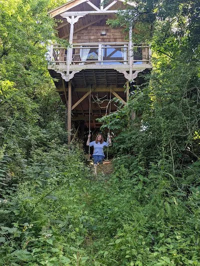 Treehouse at Lawcus Farm in County Kilkenny, Ireland, surrounded by woodland with a swing beneath the elevated cabin