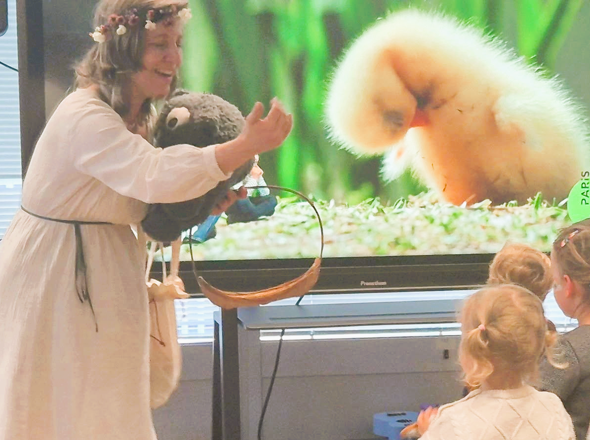 Une femme habillée en beige, portant une couronne de fleurs, présente une émission éducative sur des poussins à un groupe d'enfants dans une salle. Un grand écran en arrière-plan affiche deux poussins, l'un en train de manger et l'autre perché.