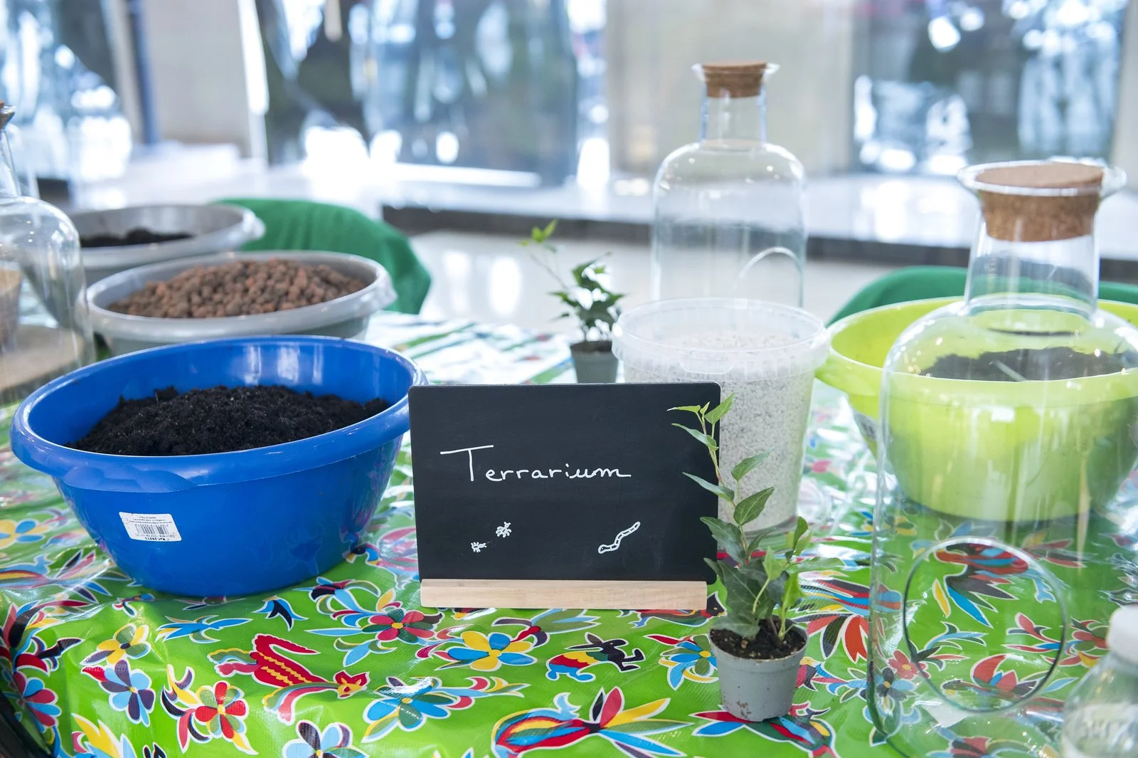 atelier terrarium family day green agence kidsday 
