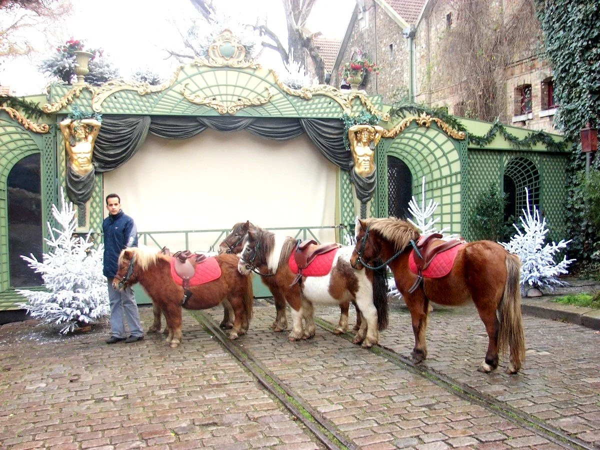 promenade poneys paris