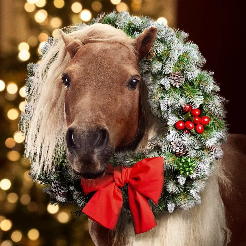 Un cheval portant une couronne de Noël ornée de pommes de pain, de branches de pin enneigées, de baies rouges et d'un gros nœud rouge, avec un fond flou de lumières de fête.