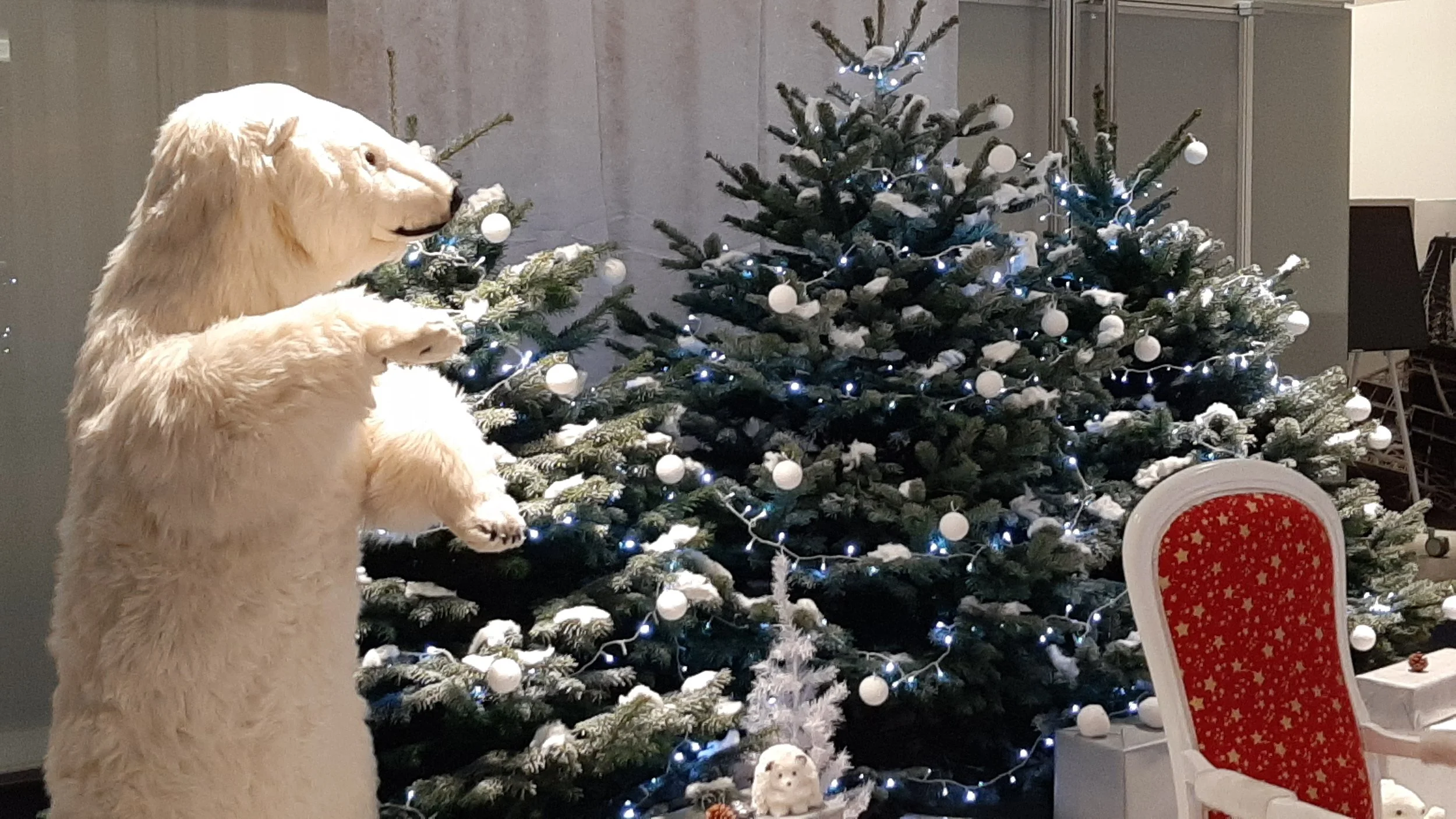 Un ours en peluche blanc dans une pièce décorée pour Noël, avec deux sapins de Noël ornés de boules blanches et de guirlandes lumineuses, une chaise rouge à motifs dorés, et d'autres décorations de fête.