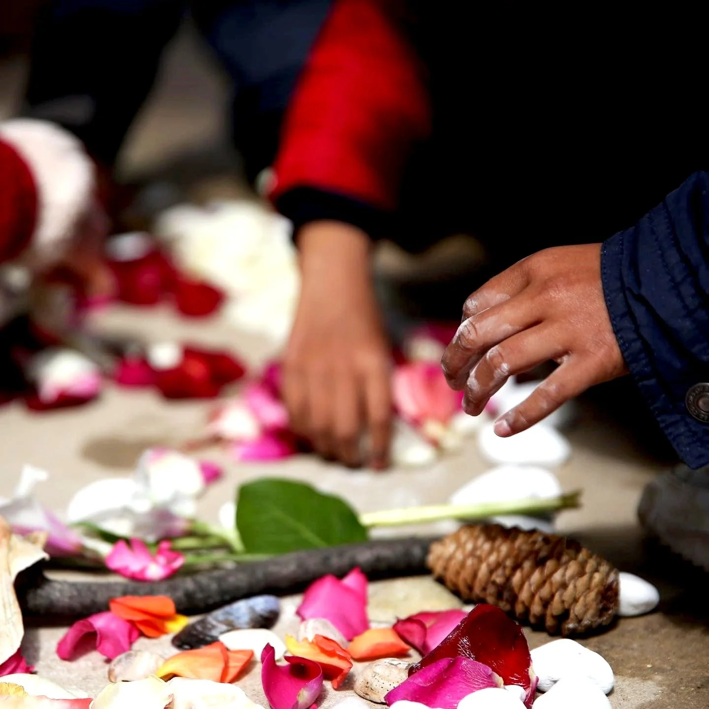 Mains de personnes déposant des pétales de fleurs et des objets sur le sol, décorant un espace avec des éléments naturels pour une cérémonie ou un rituel.