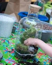 atelier terrarium enfant family day green kidsday