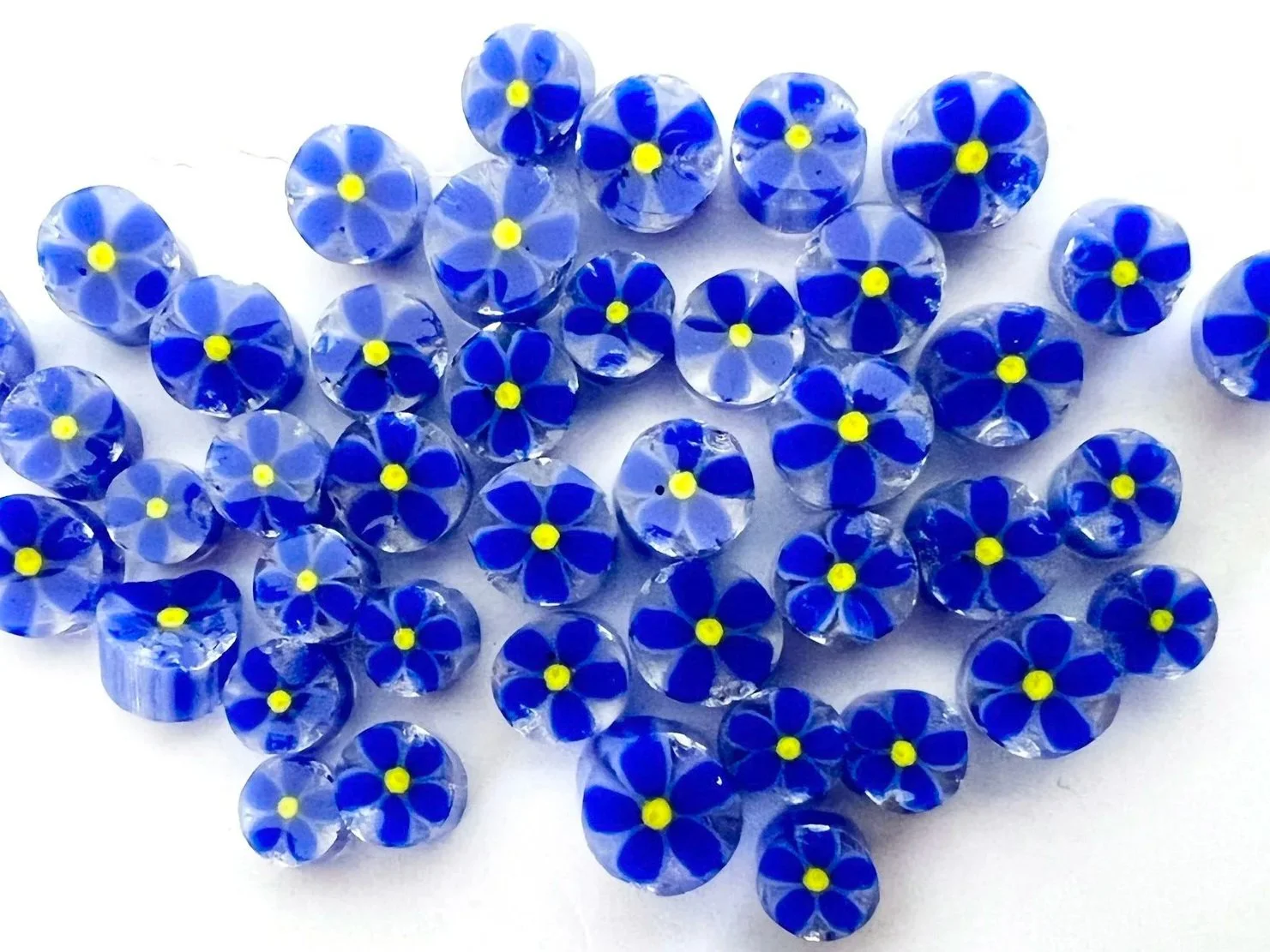 01+Blue+speedwell.jpg