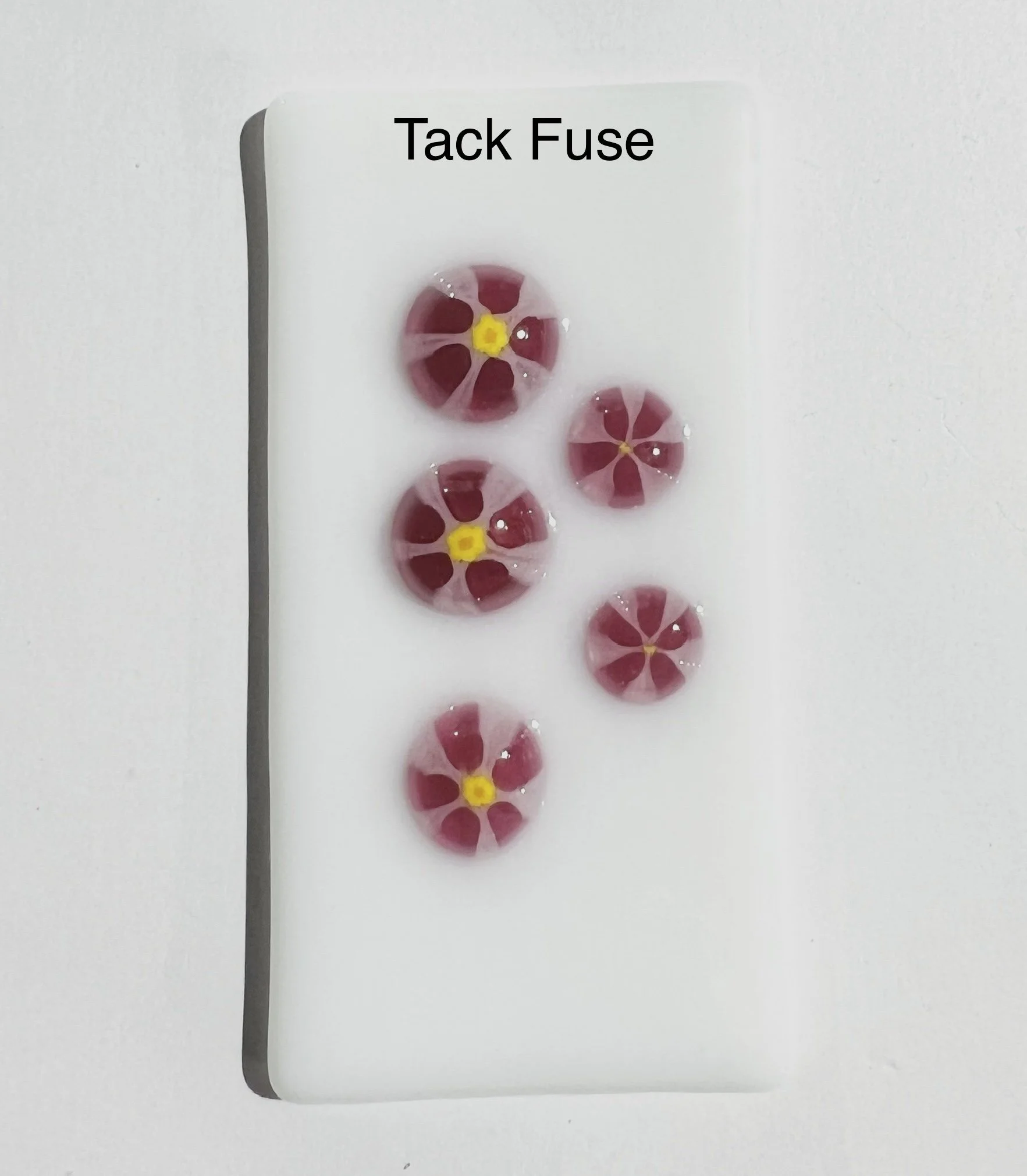 01 Pink daisy 2.JPEG