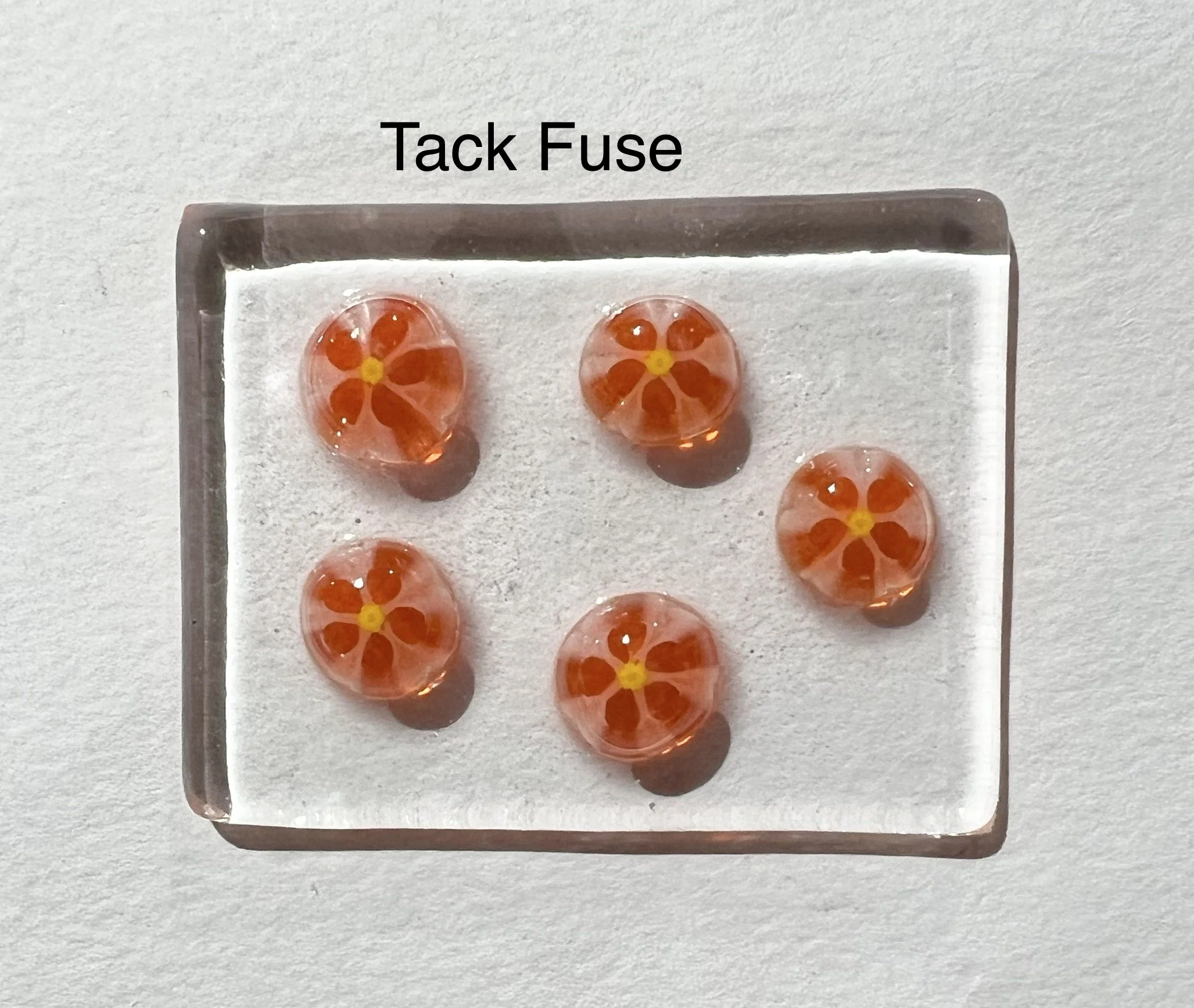 01 orange daisy 2.JPEG