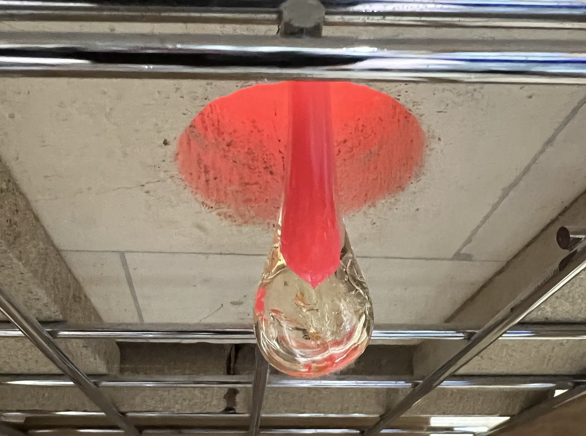 bulb.JPEG