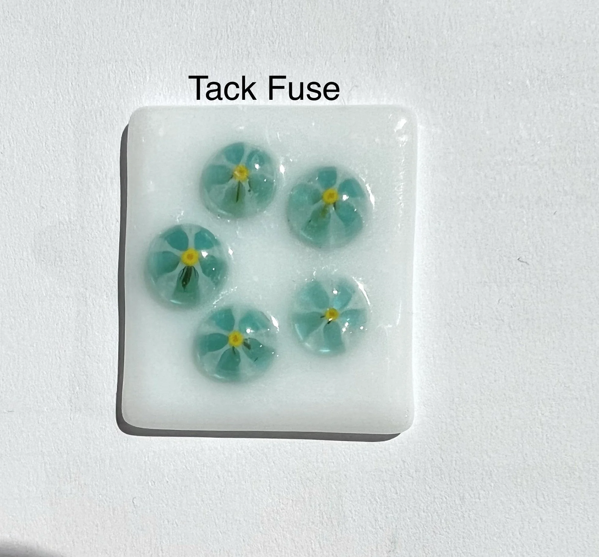 01 Aqua daisy 3.JPEG