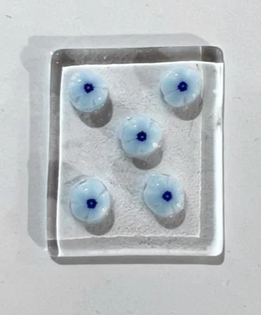 01 pale blue anemone 3.JPEG