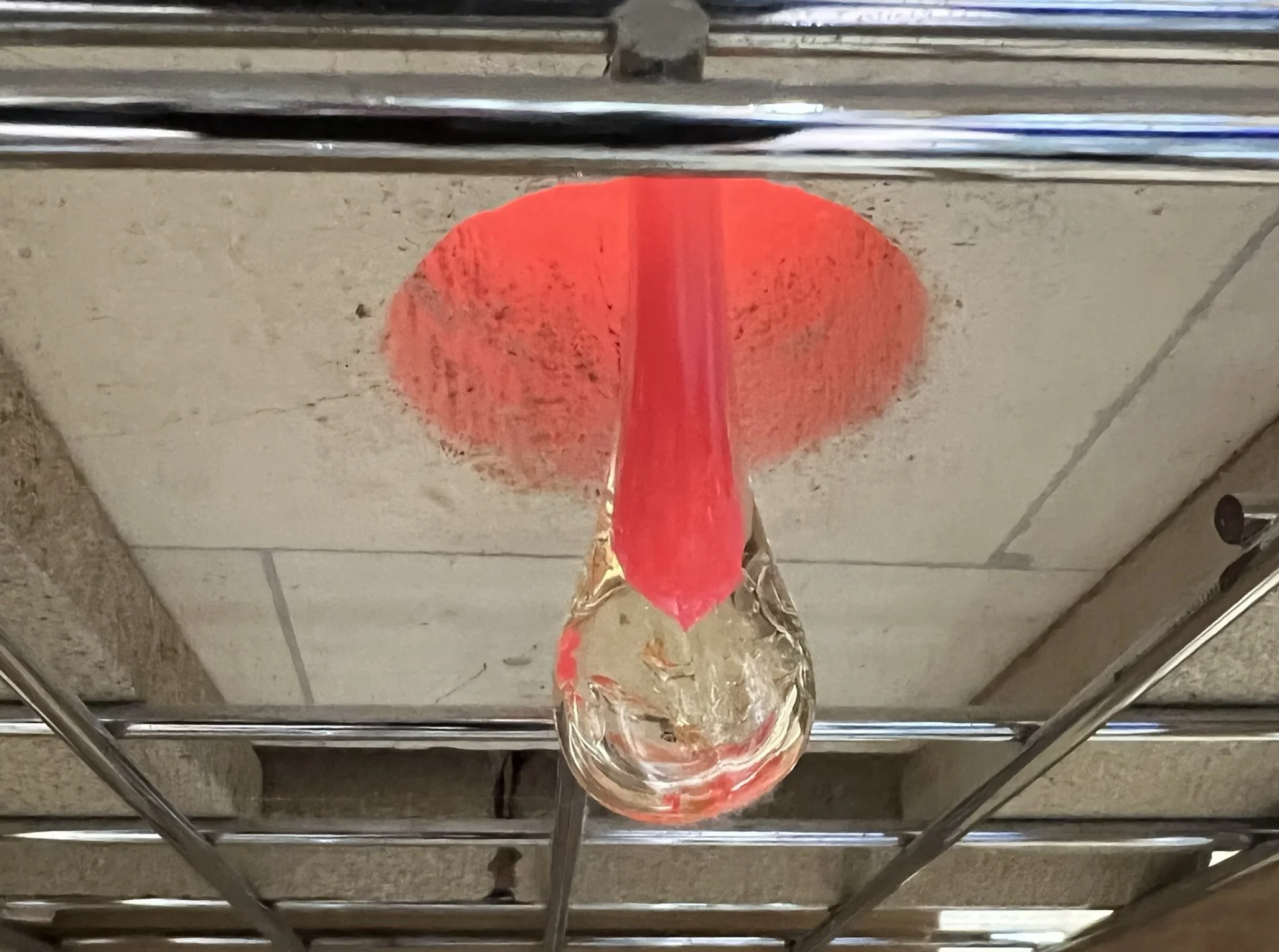 bulb.JPEG