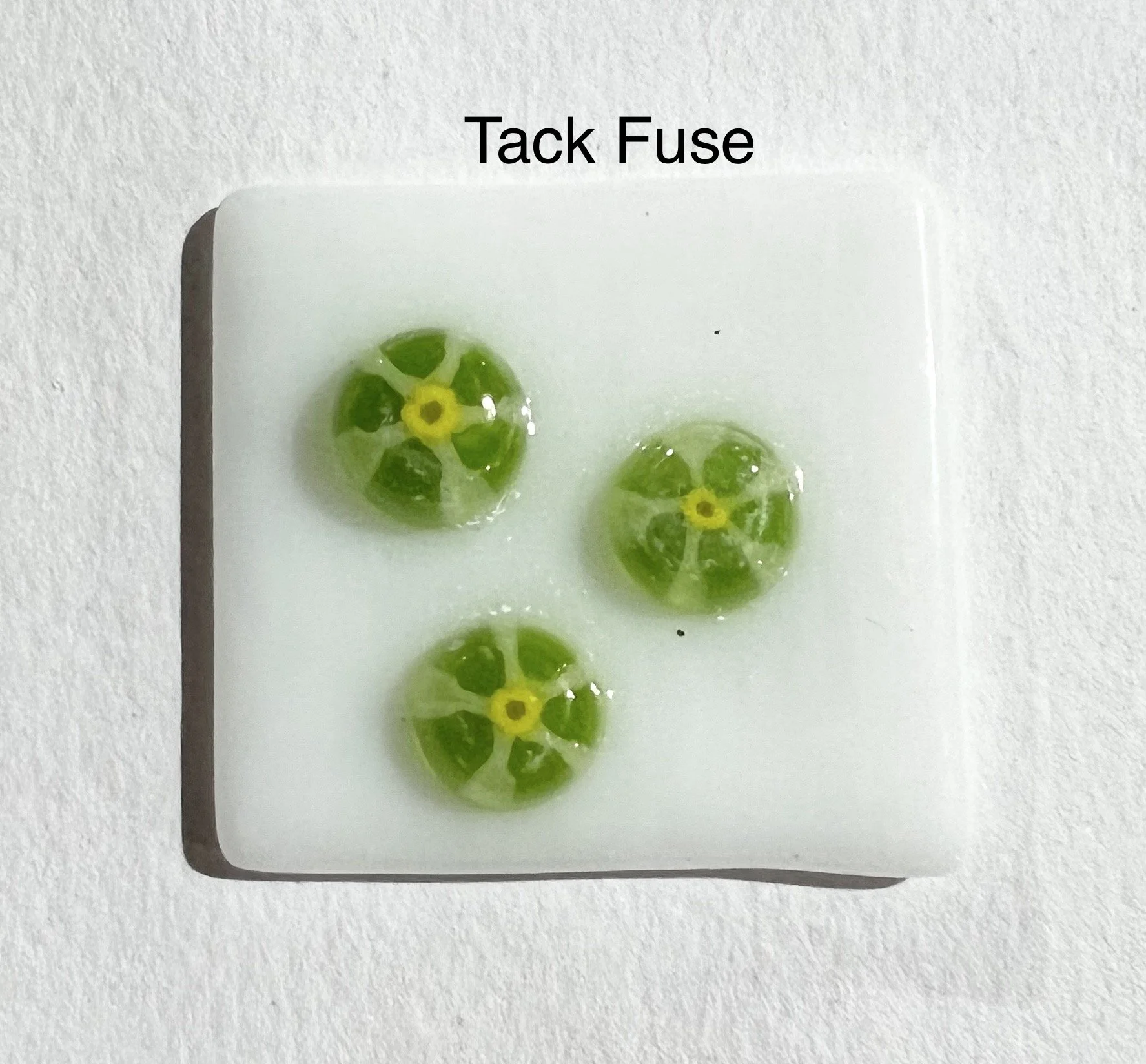 01 green daisy 2.JPEG