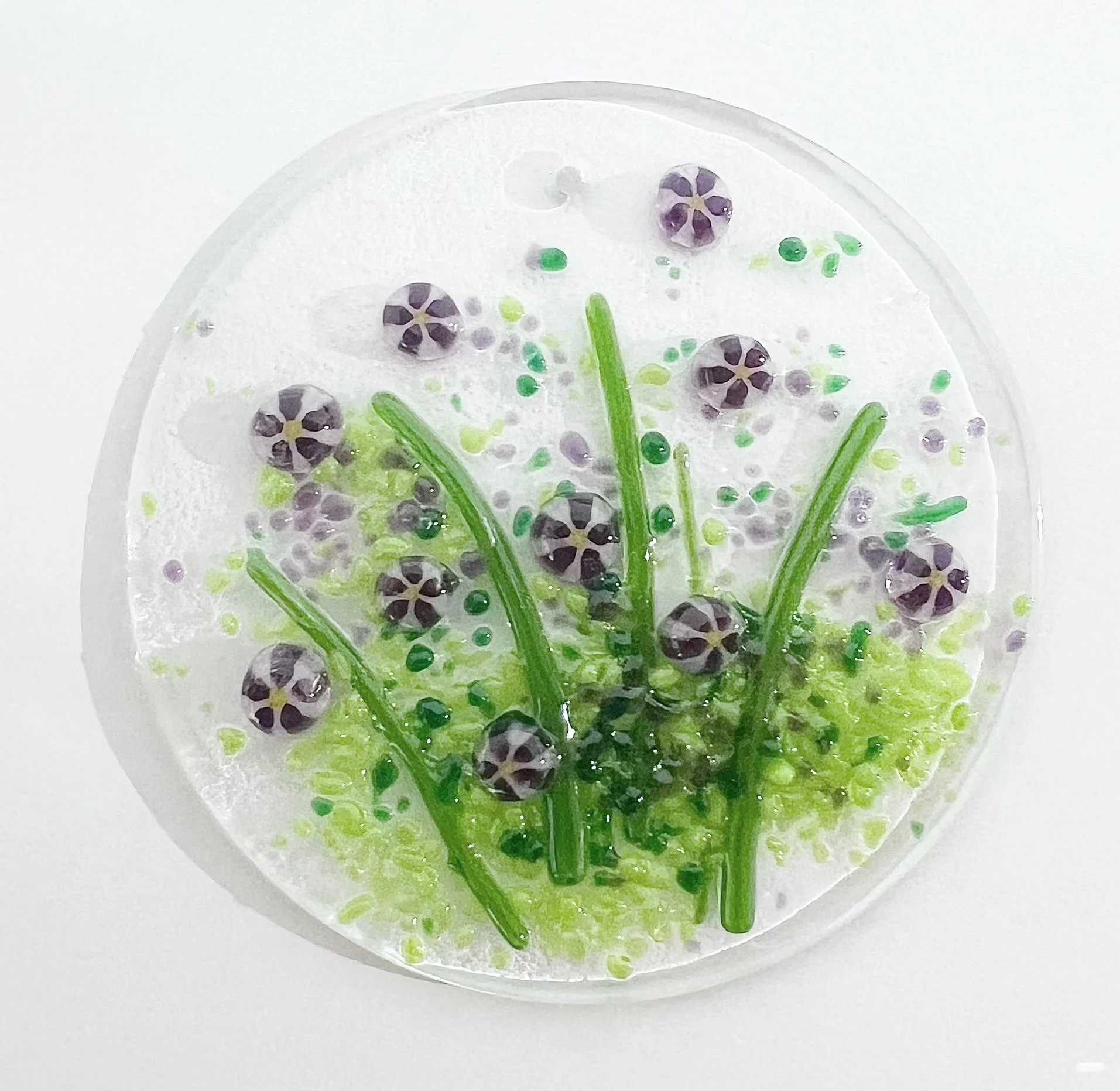 01 violet daisy 3.JPEG