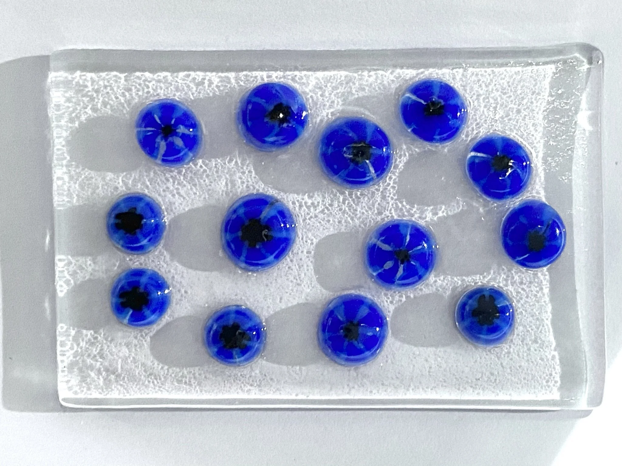 01 Cornflower 2.JPEG