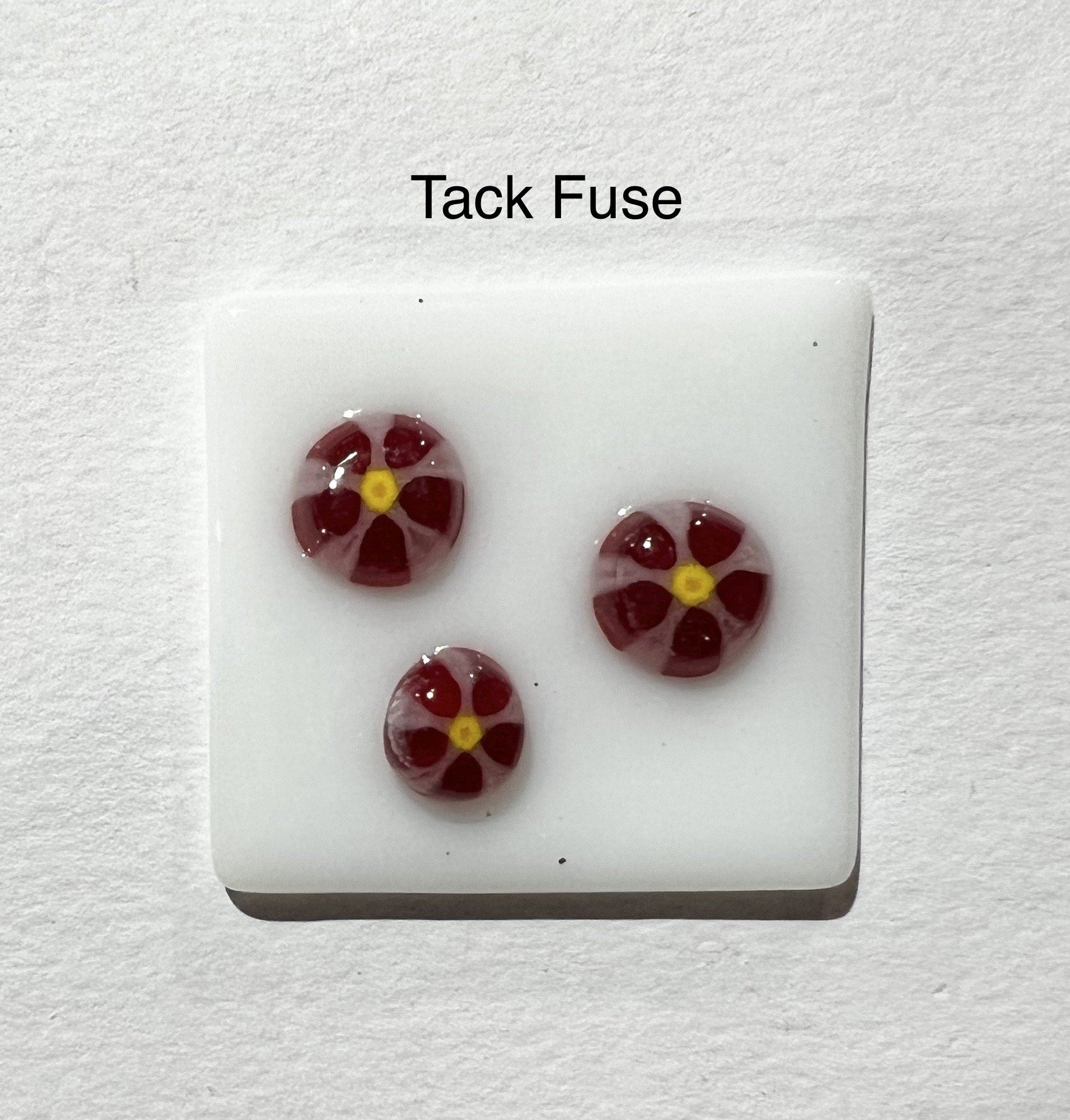 01 Violet daisy.JPEG