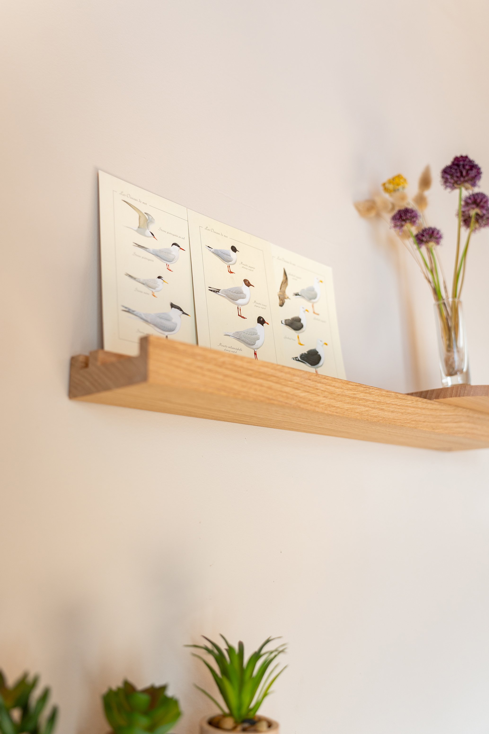 Une planche d'affiches pédagogiques sur les oiseaux, fixée à un mur blanc, avec une plante verte en bas.