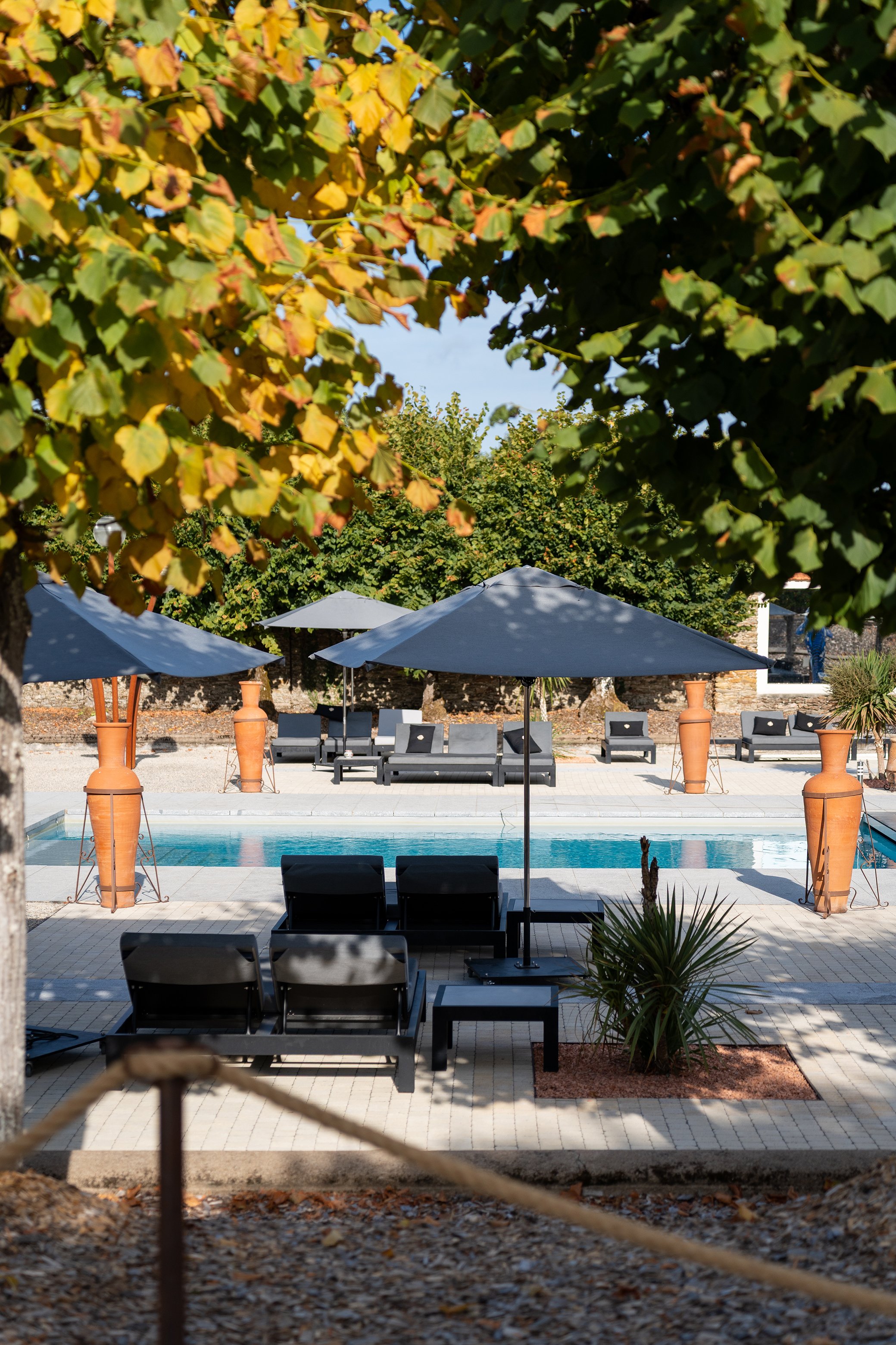 Zone de détente avec une piscine, tables, chaises et parasols en plein air, entourée d'arbres avec des feuilles en automne.