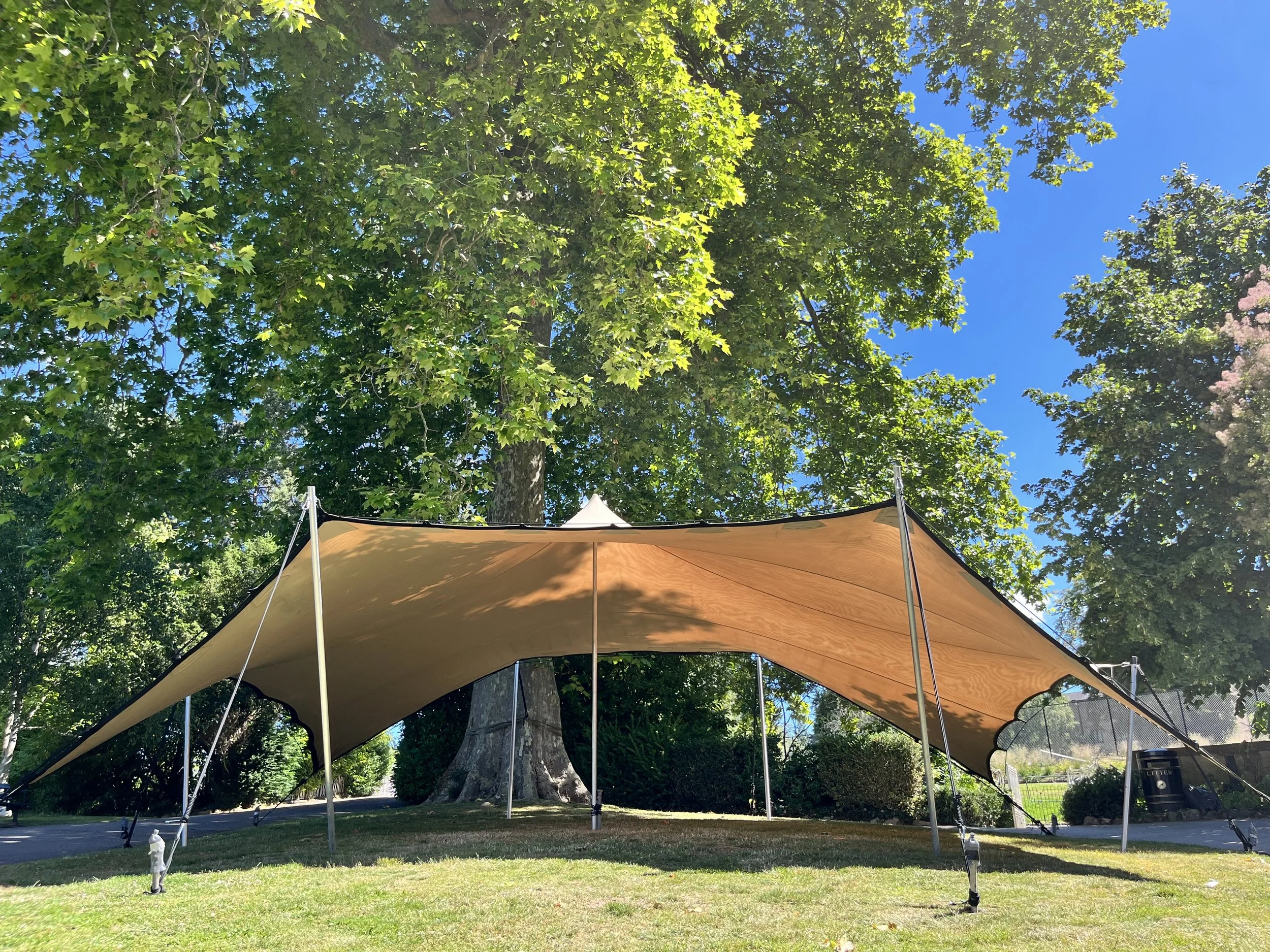 A beige canopy tent set up outdoors in a grassy area under tall green trees with a bright blue sky overhead.