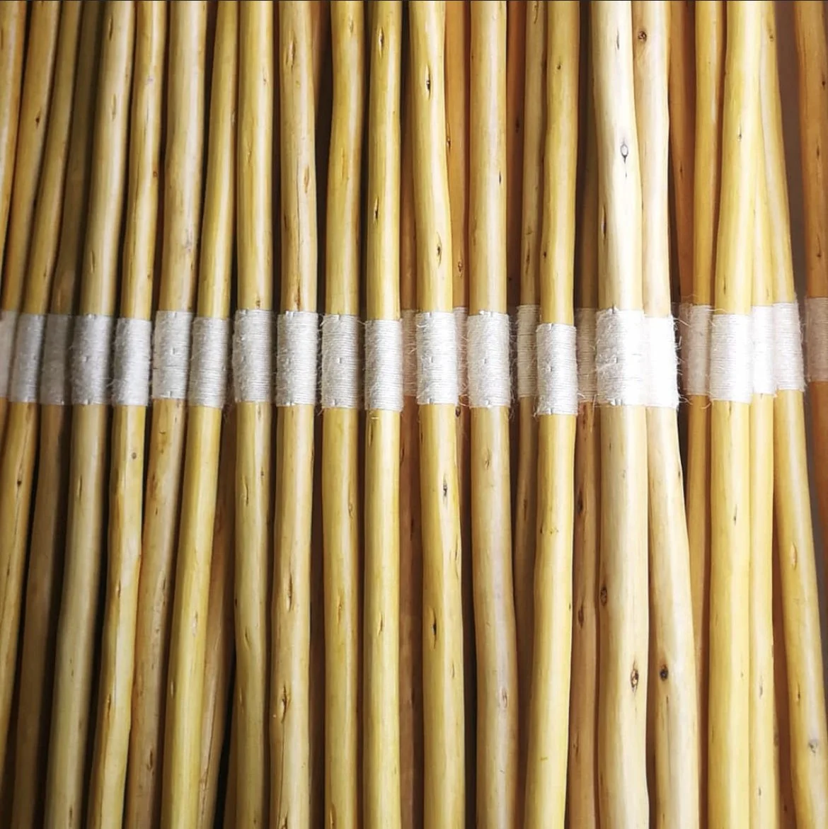 Close-up of bamboo poles tied in the middle with white string.