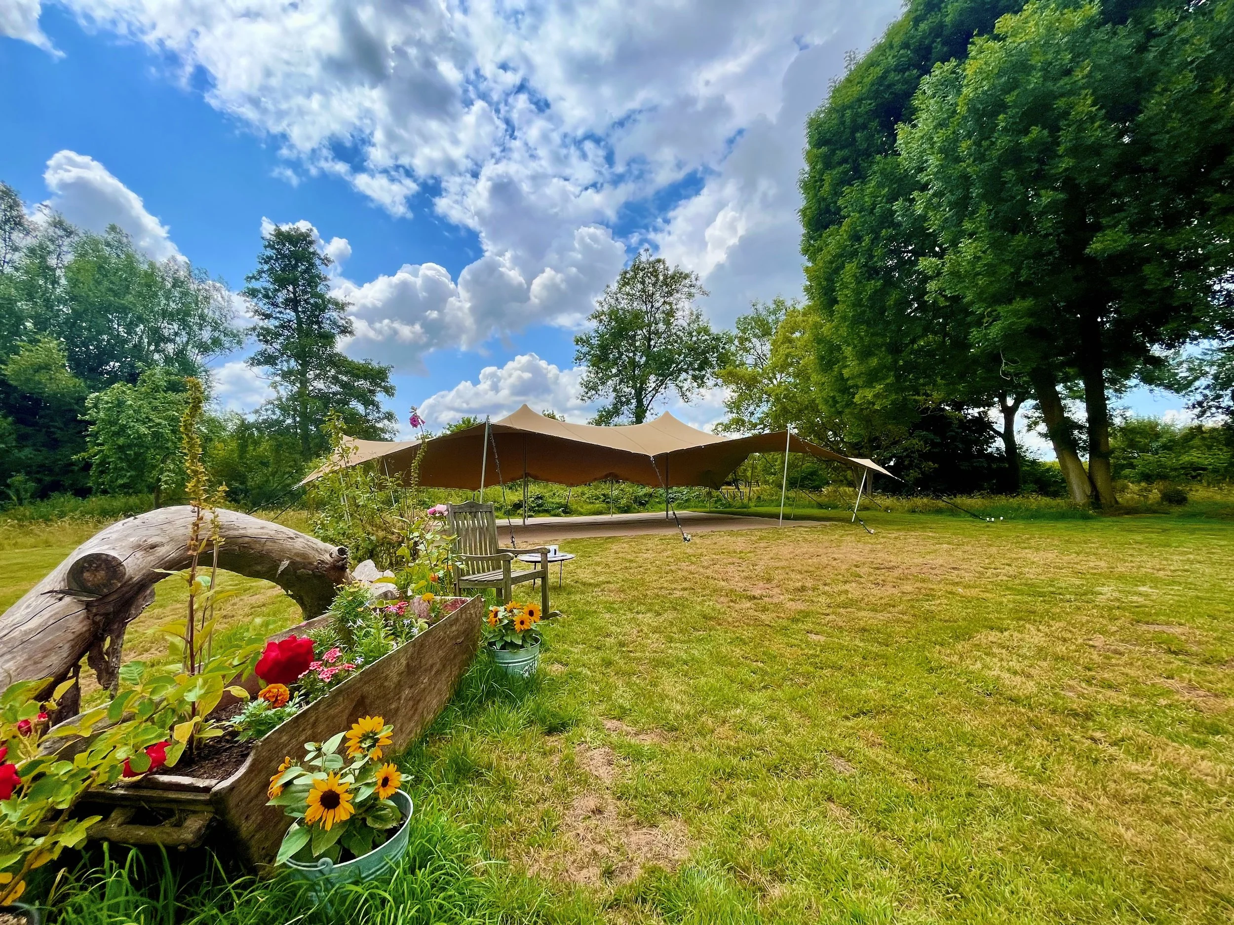 A sunny outdoor scene with a blue sky filled with fluffy clouds, green trees, a tan canopy or tent, a wooden planter box with colorful flowers, a log, and a grassy area.