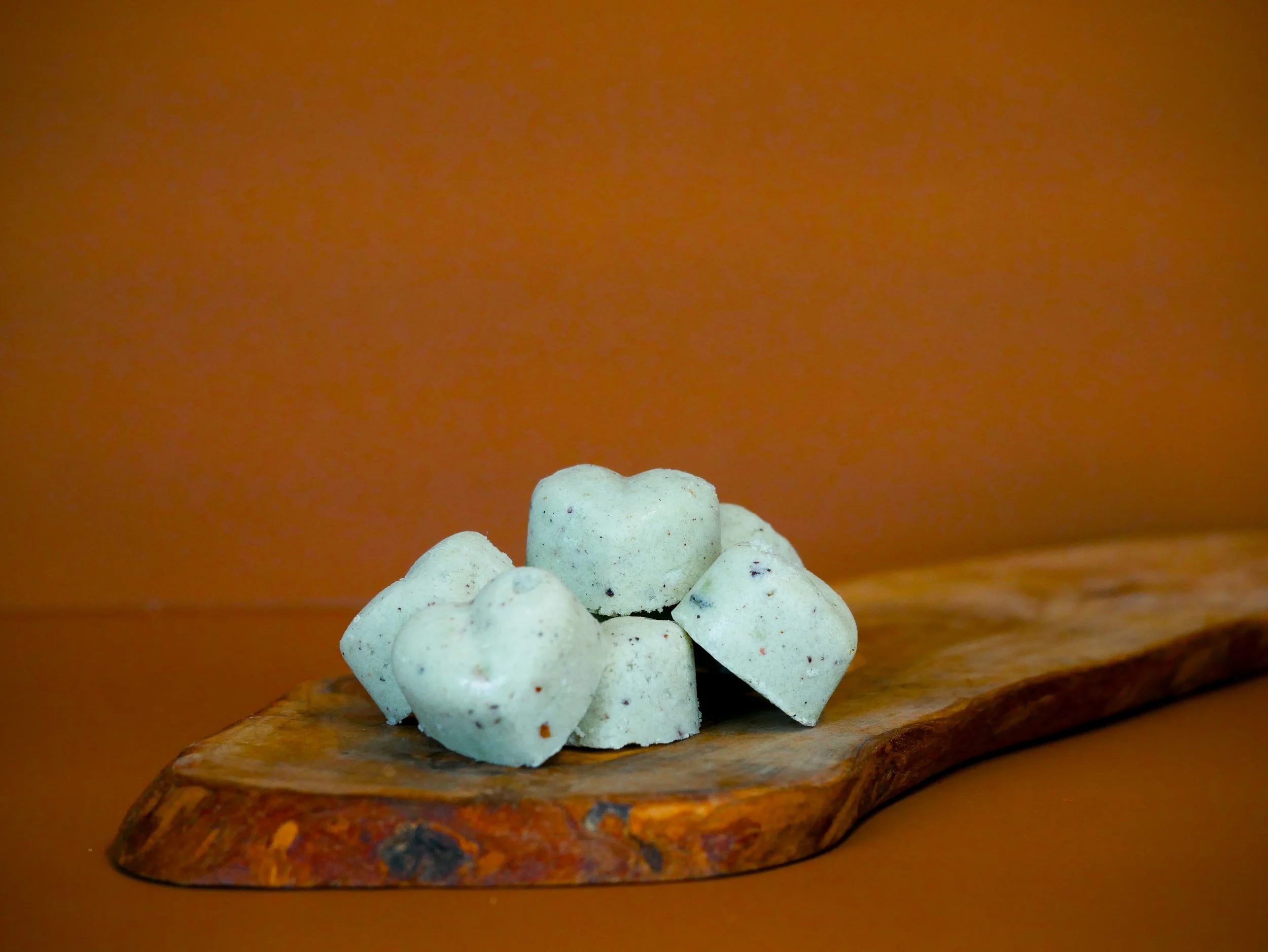 P1100849-2.jpg