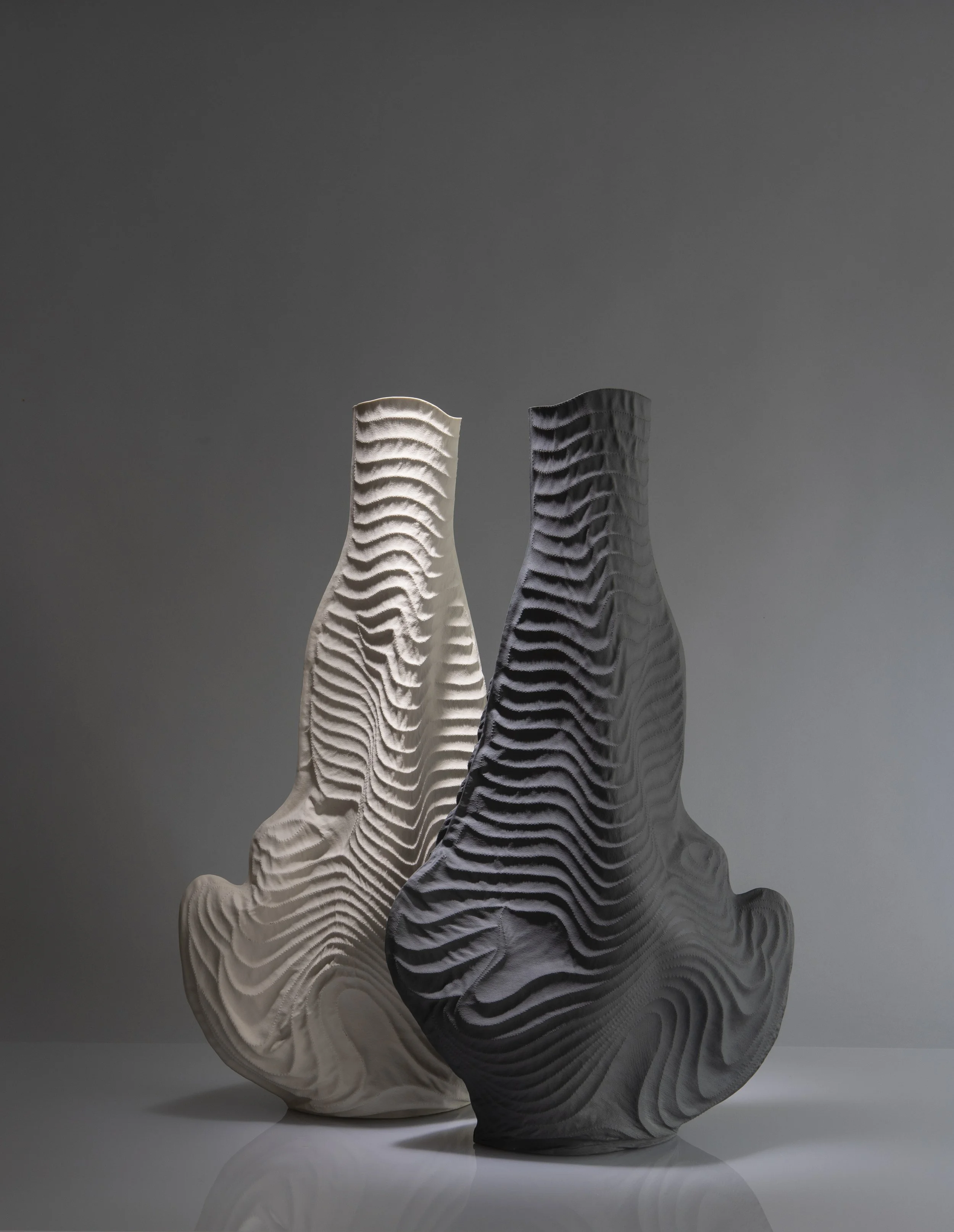 Topography duo.jpg