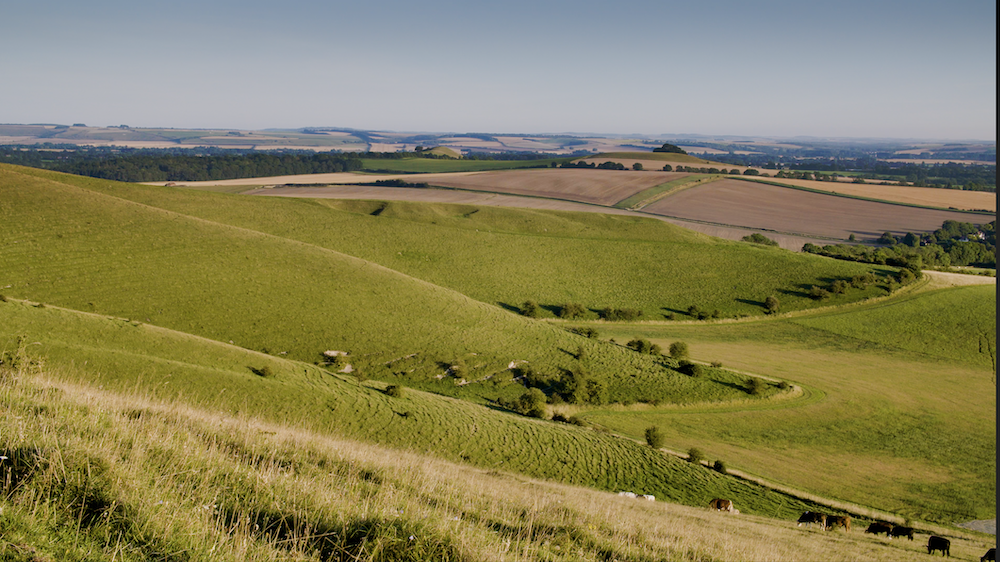 Rolling green hills and farmland under a clear blue sky, with patches of cultivated fields and a few scattered trees.
